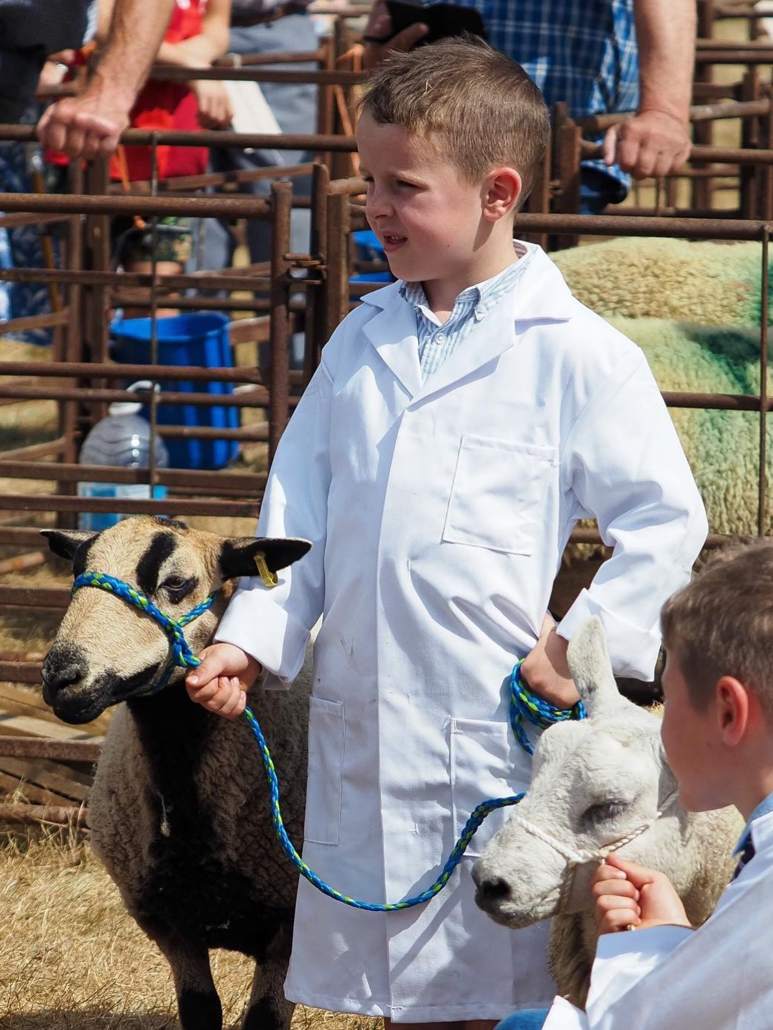 A Taste of Village Life 🎪 🐑 🧁 

If you&rsquo;re staying with us, why not experience a taste of country life and visit one of our local village shows?

🐑 Llanwrtyd Show &ndash; tomorrow, 22nd August
🐑 Beulah Show &ndash; 12th September

It&rsquo;