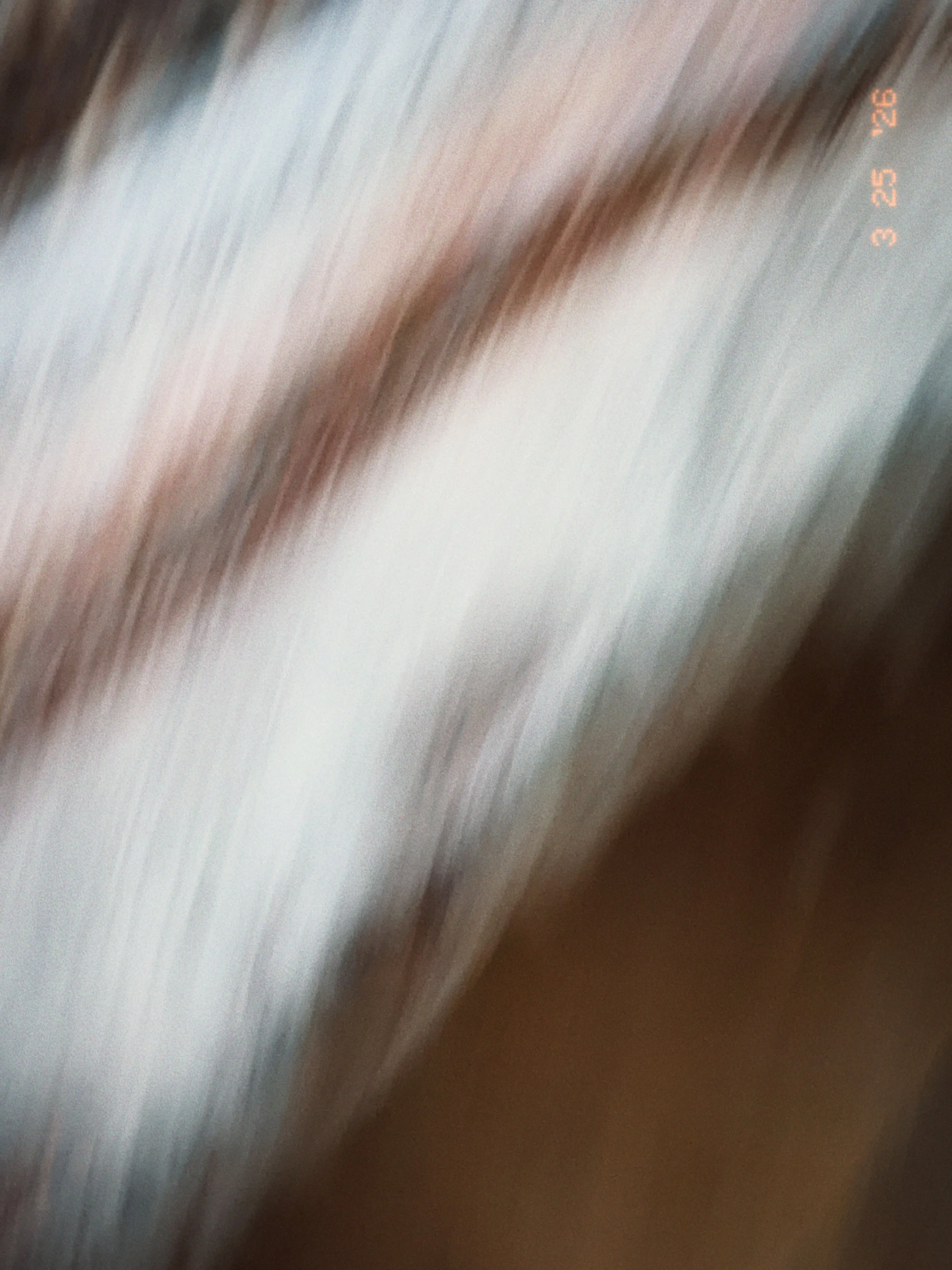 Tezza-4358.jpeg