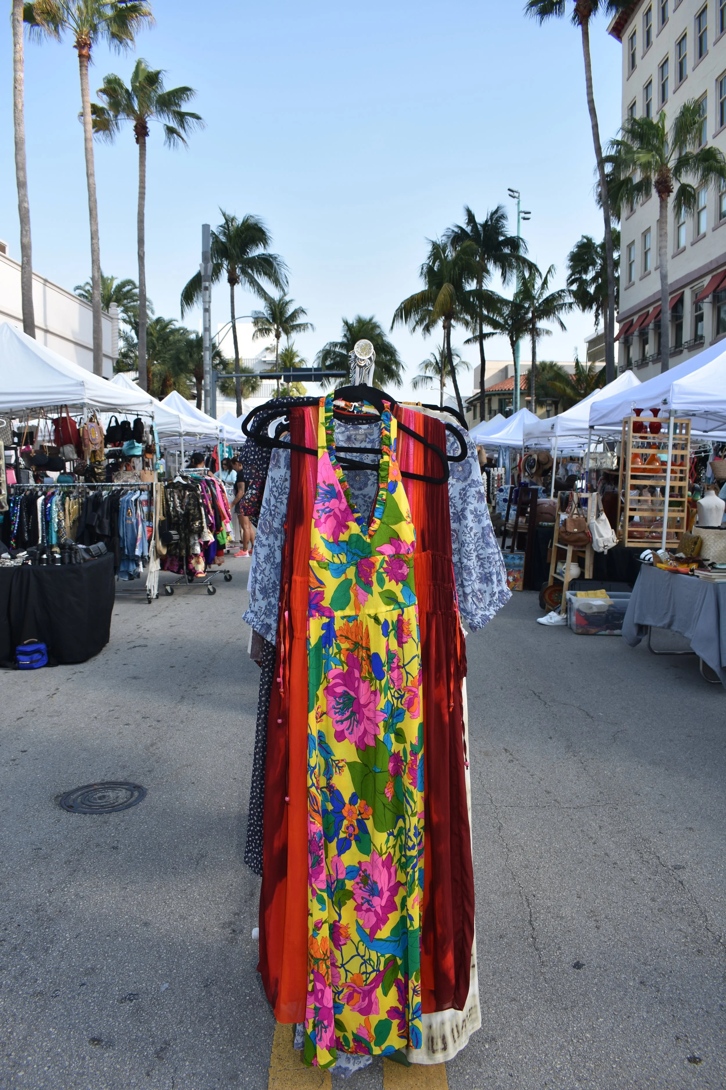 DSC_0113.JPG