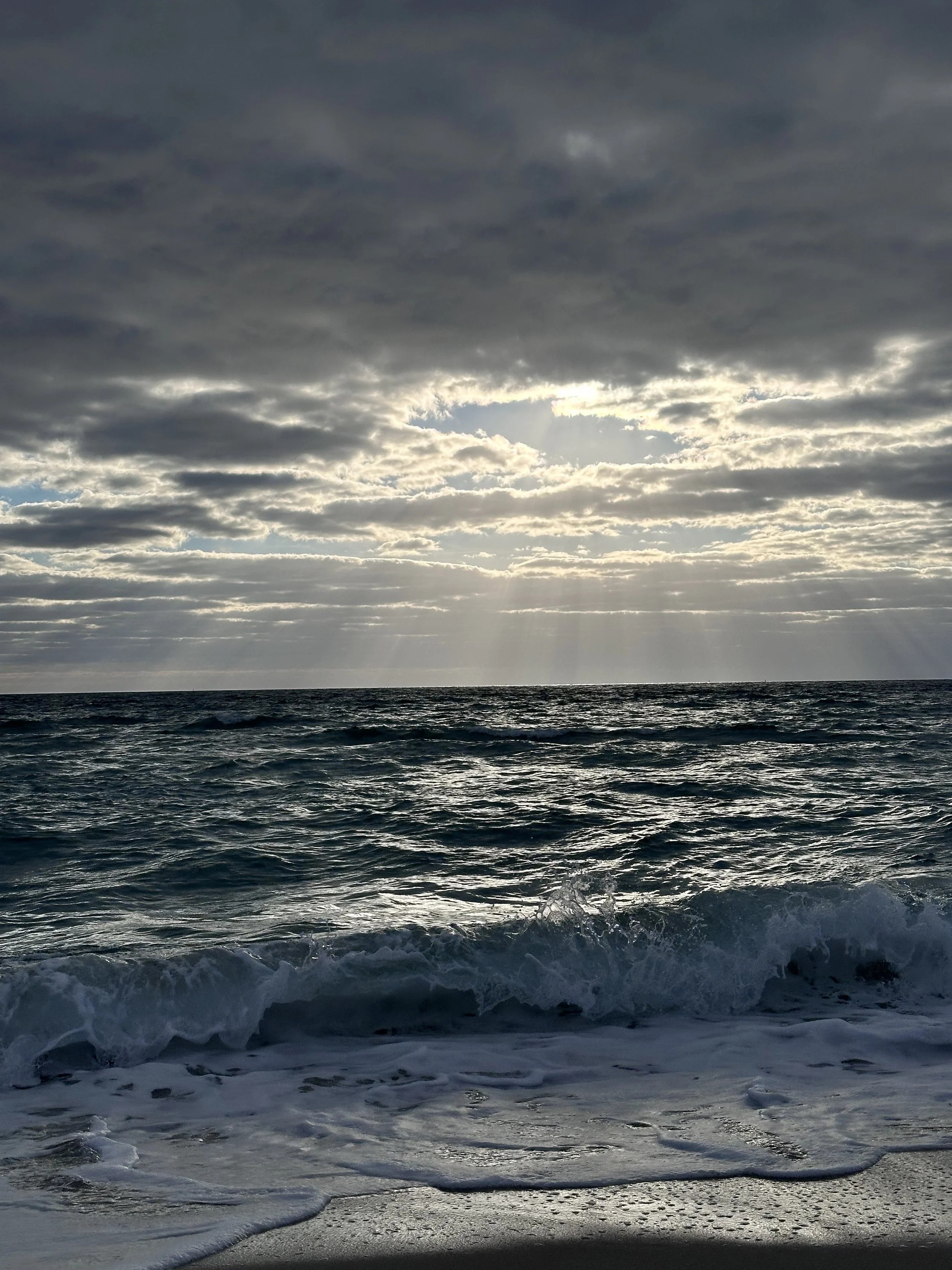 IMG_1547.jpeg