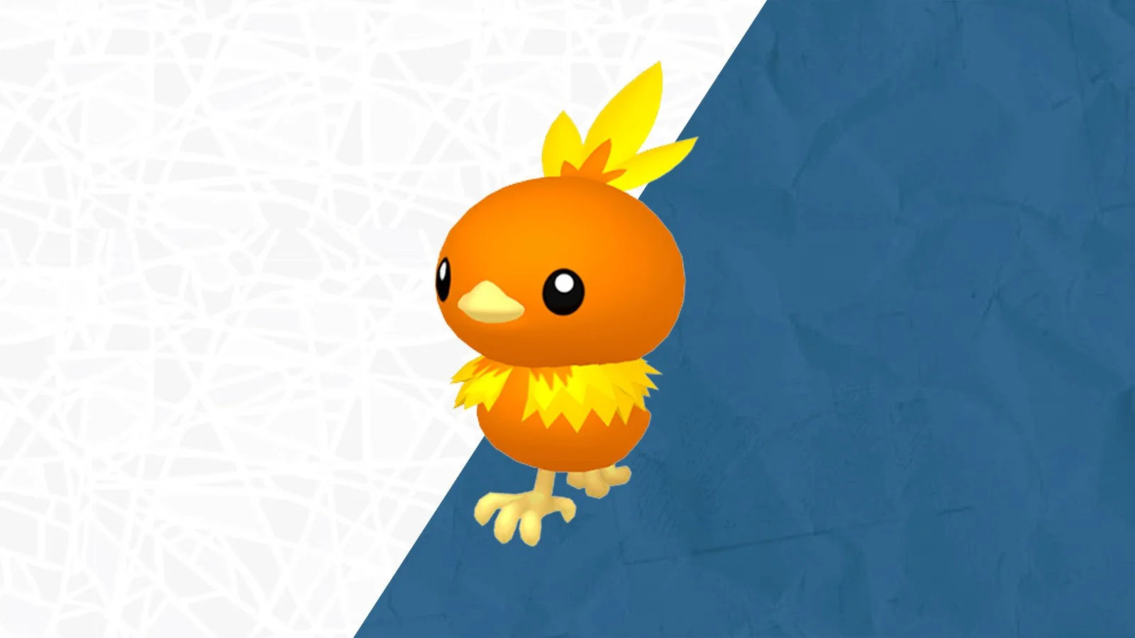 A cartoon-style bird with orange and yellow feathers stands against a split background of white and blue.