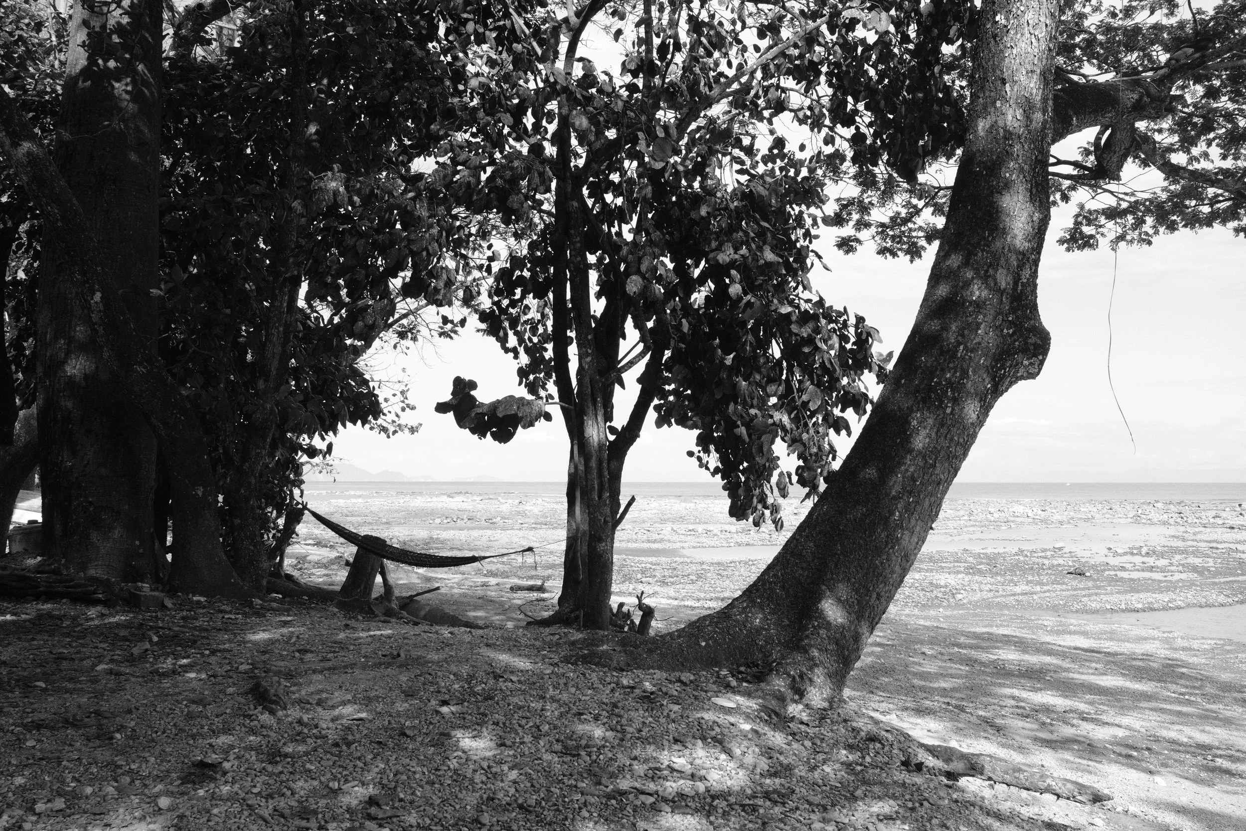 DSCF0800.jpg