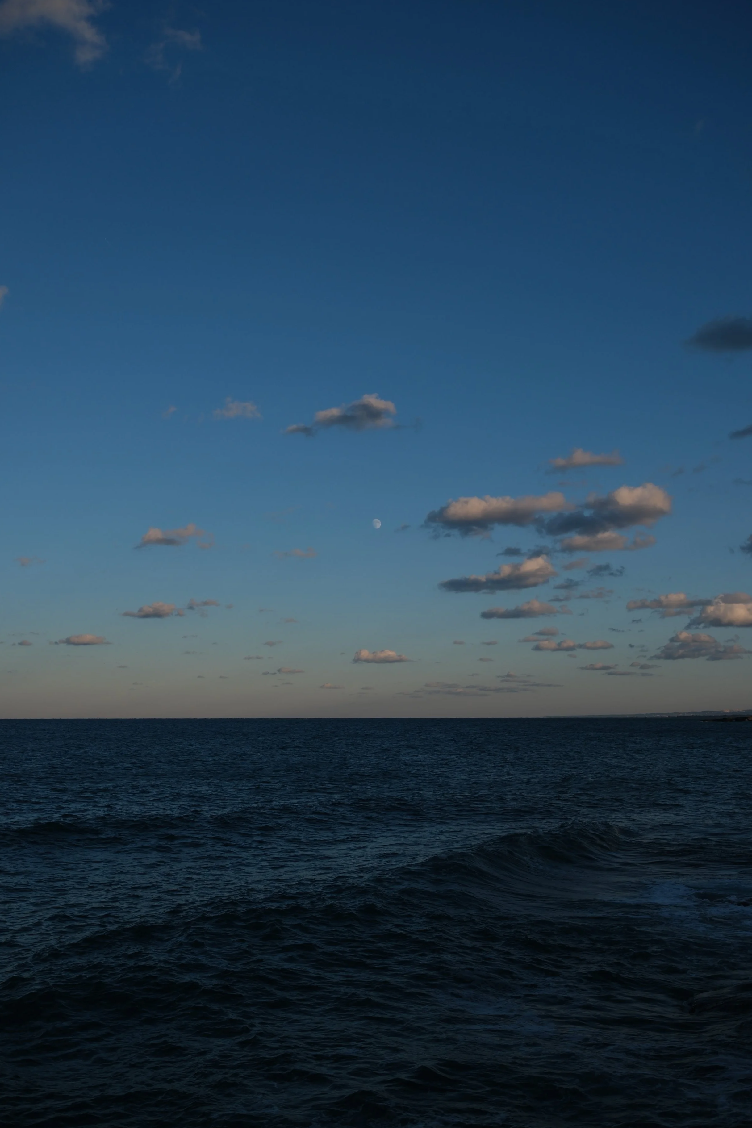 Come è profondo il mare (Monopoli, 2026)
