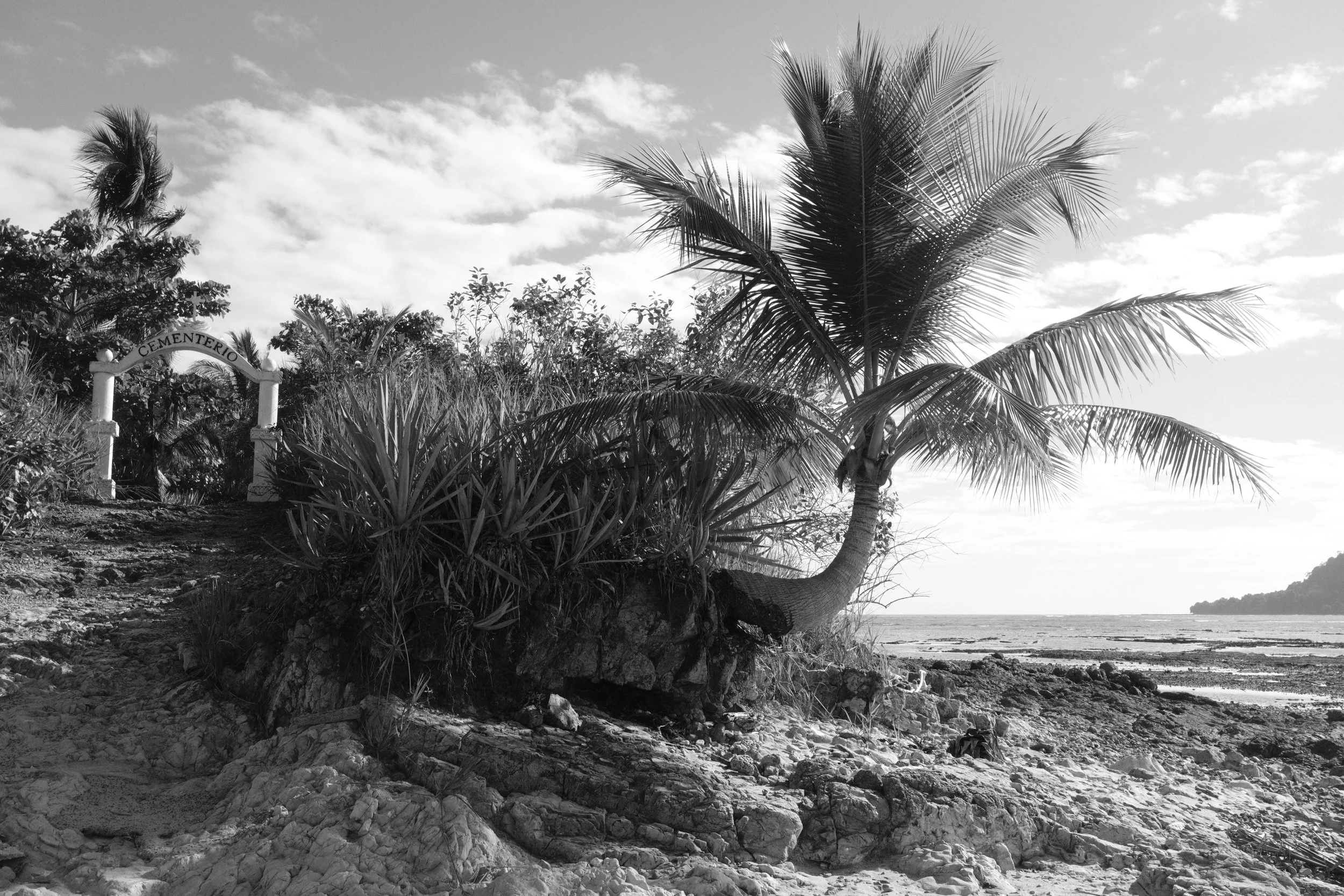 DSCF0823.jpg