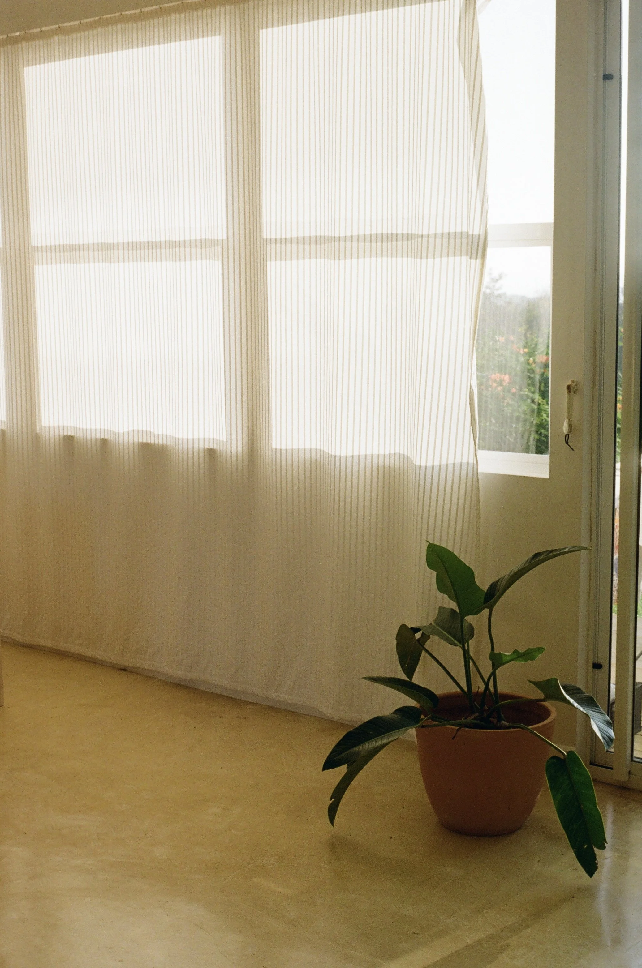 Home (2025)