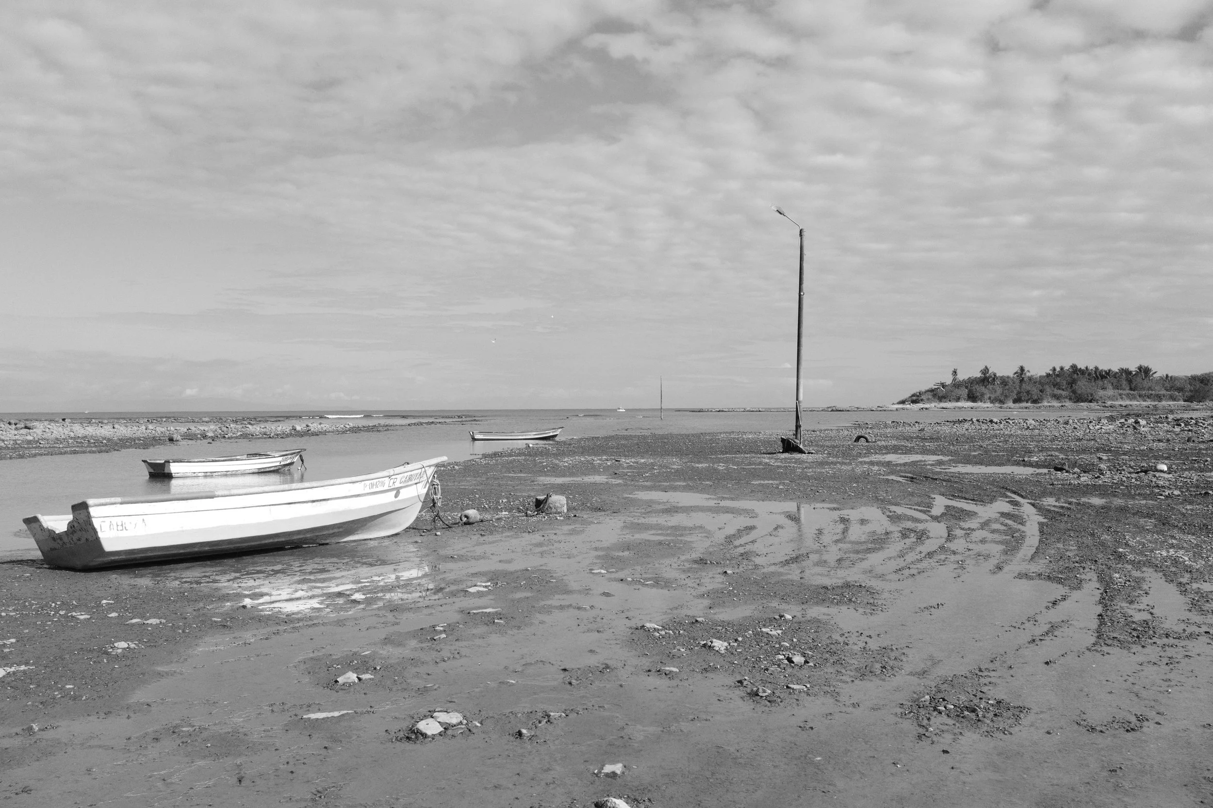 DSCF0806.jpg