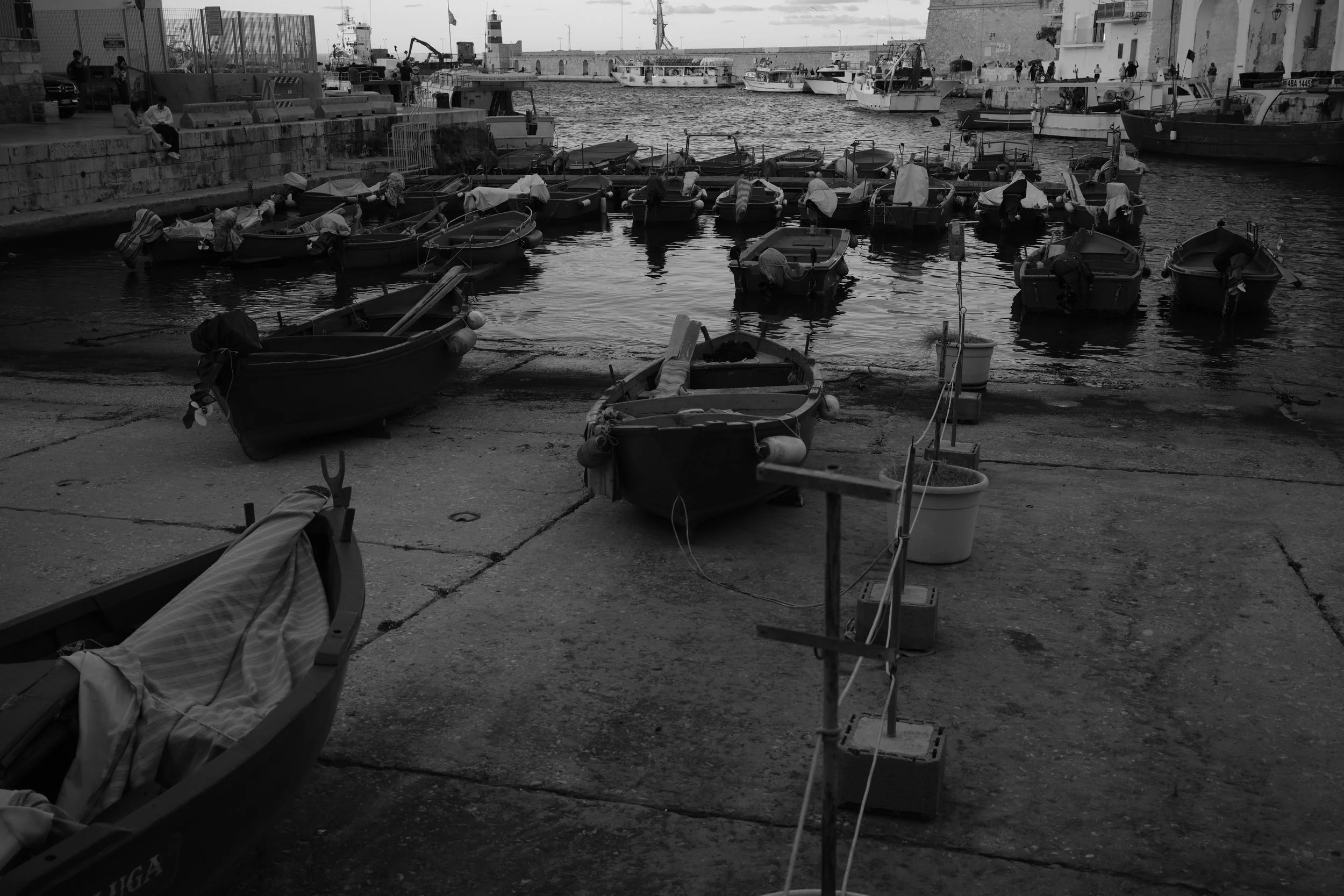 The ships are awaiting (Monopoli, 2026)