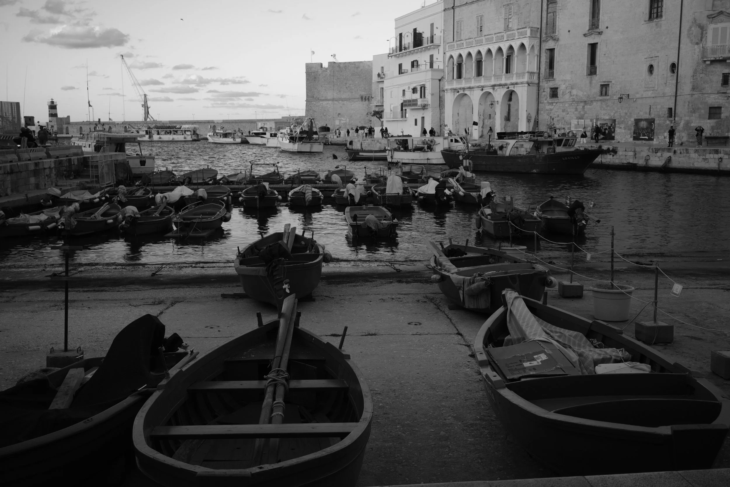 DSCF1656.JPG