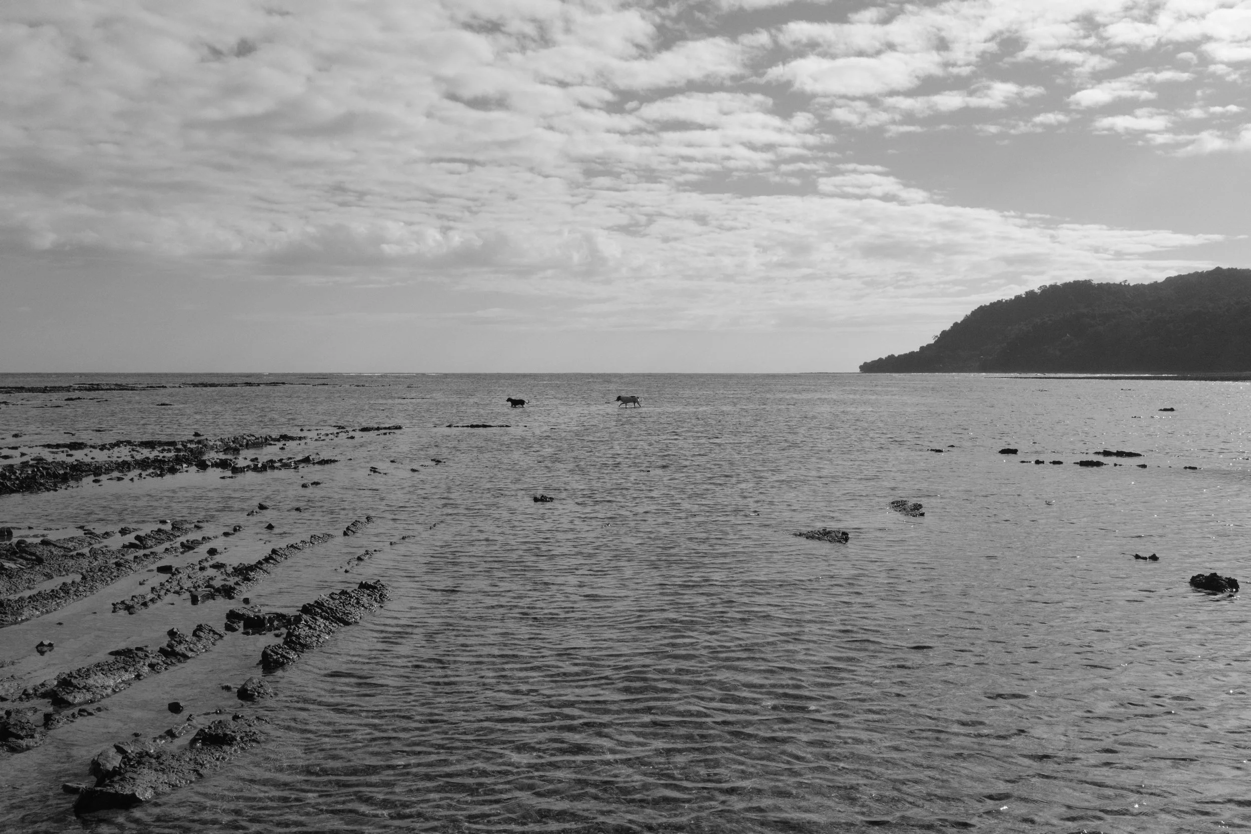 DSCF0812.jpg