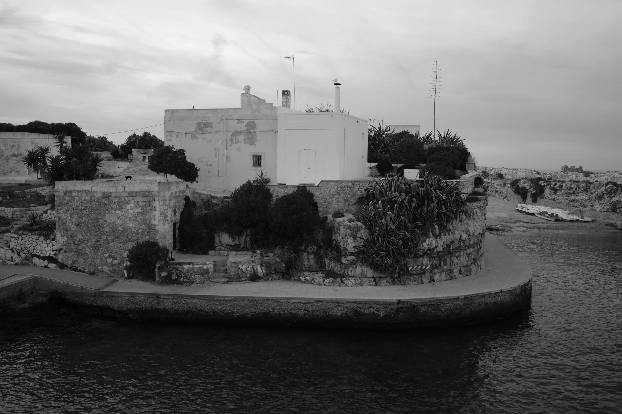 Black Cat (Polignano a Mare, 2026)