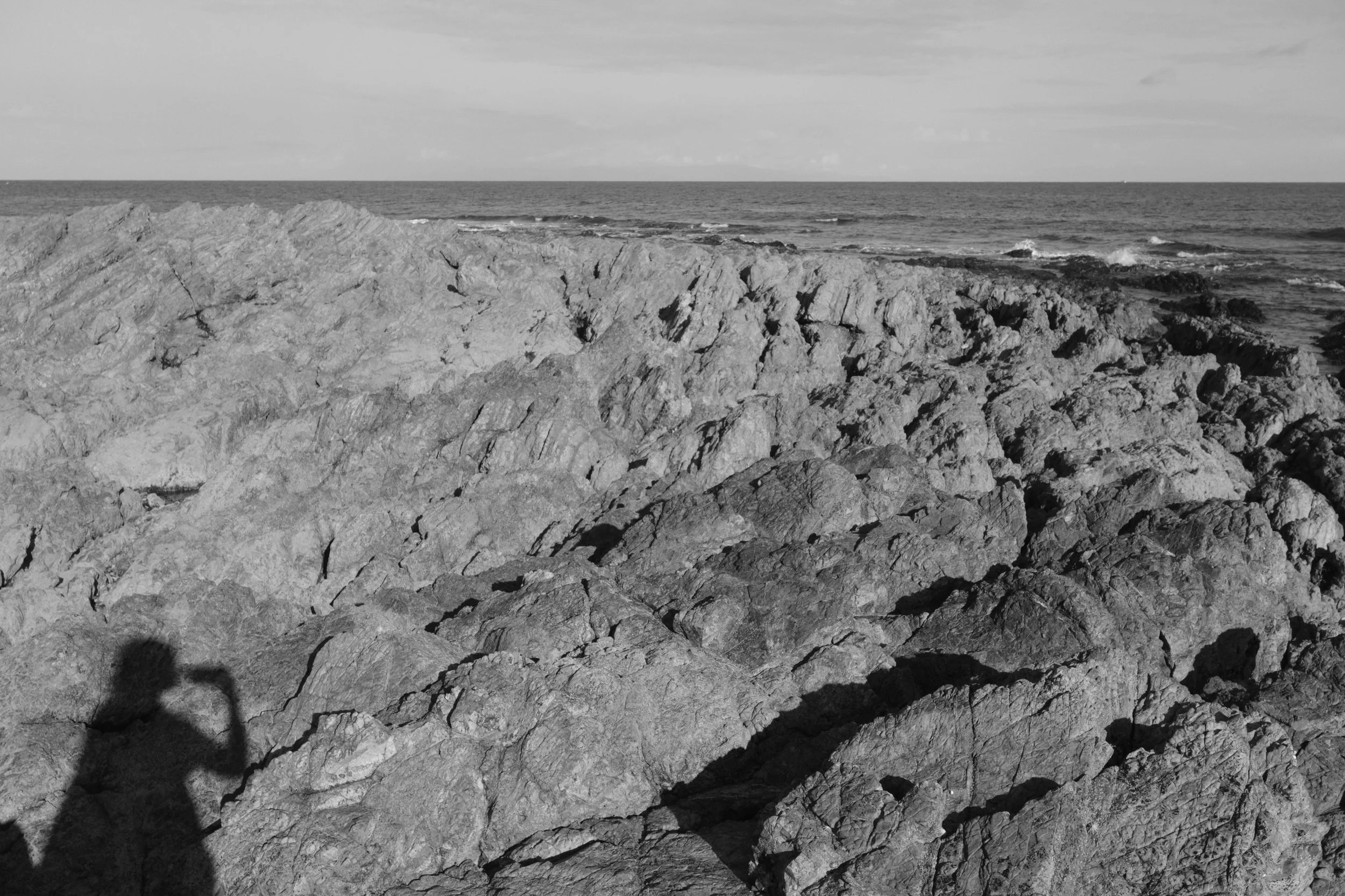 DSCF0912.jpg