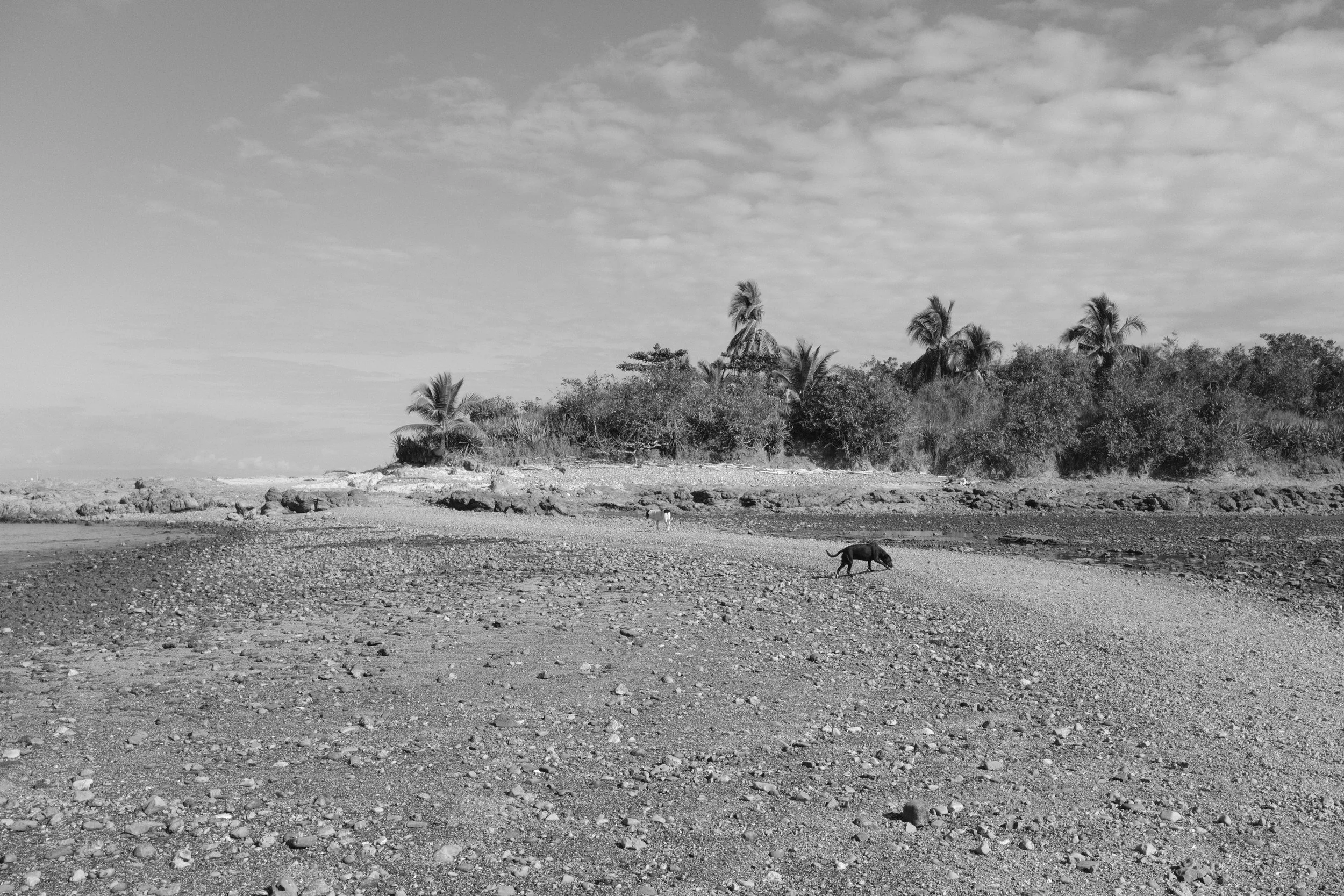 DSCF0818.jpg