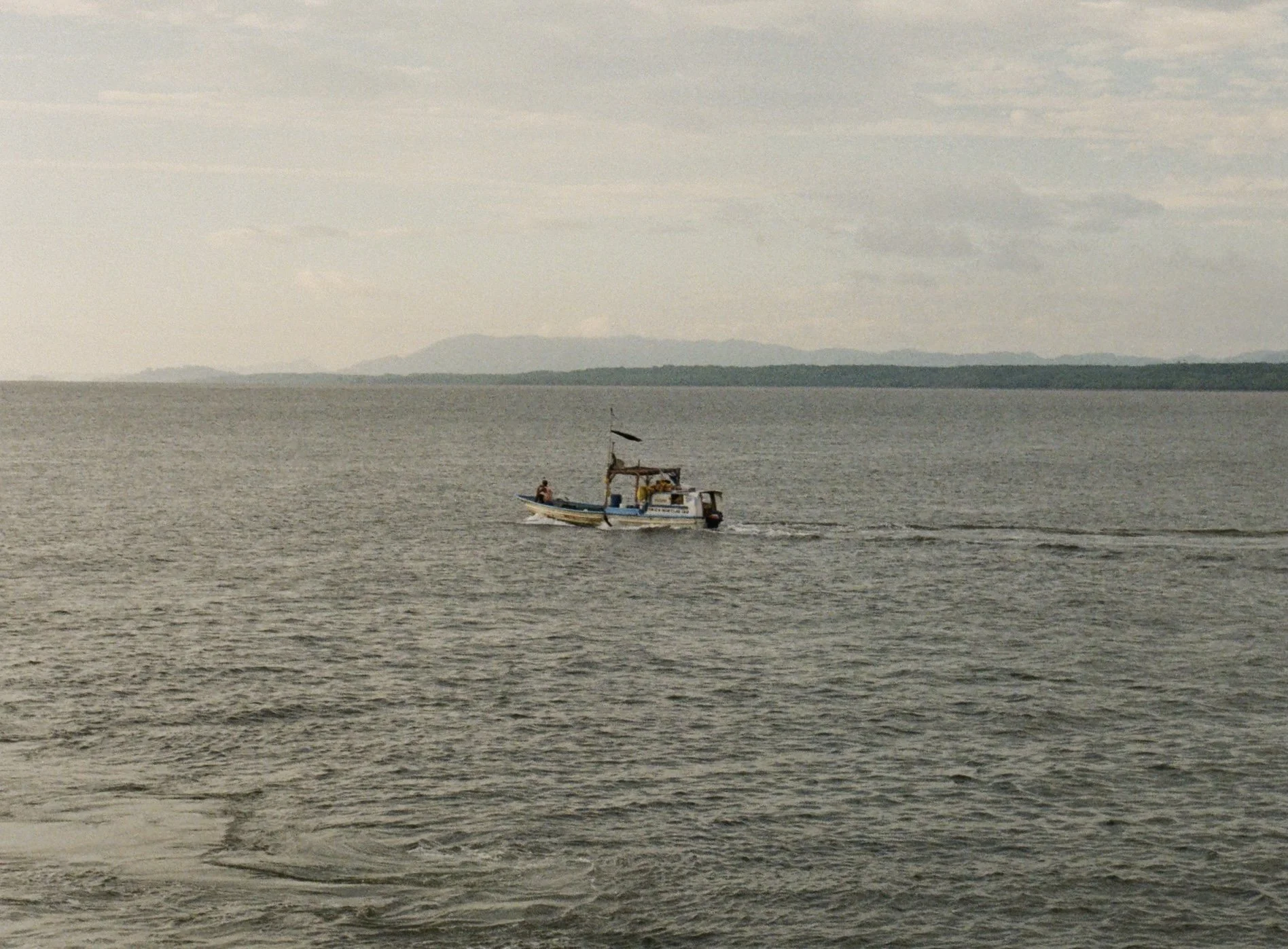 Crossing (2025)