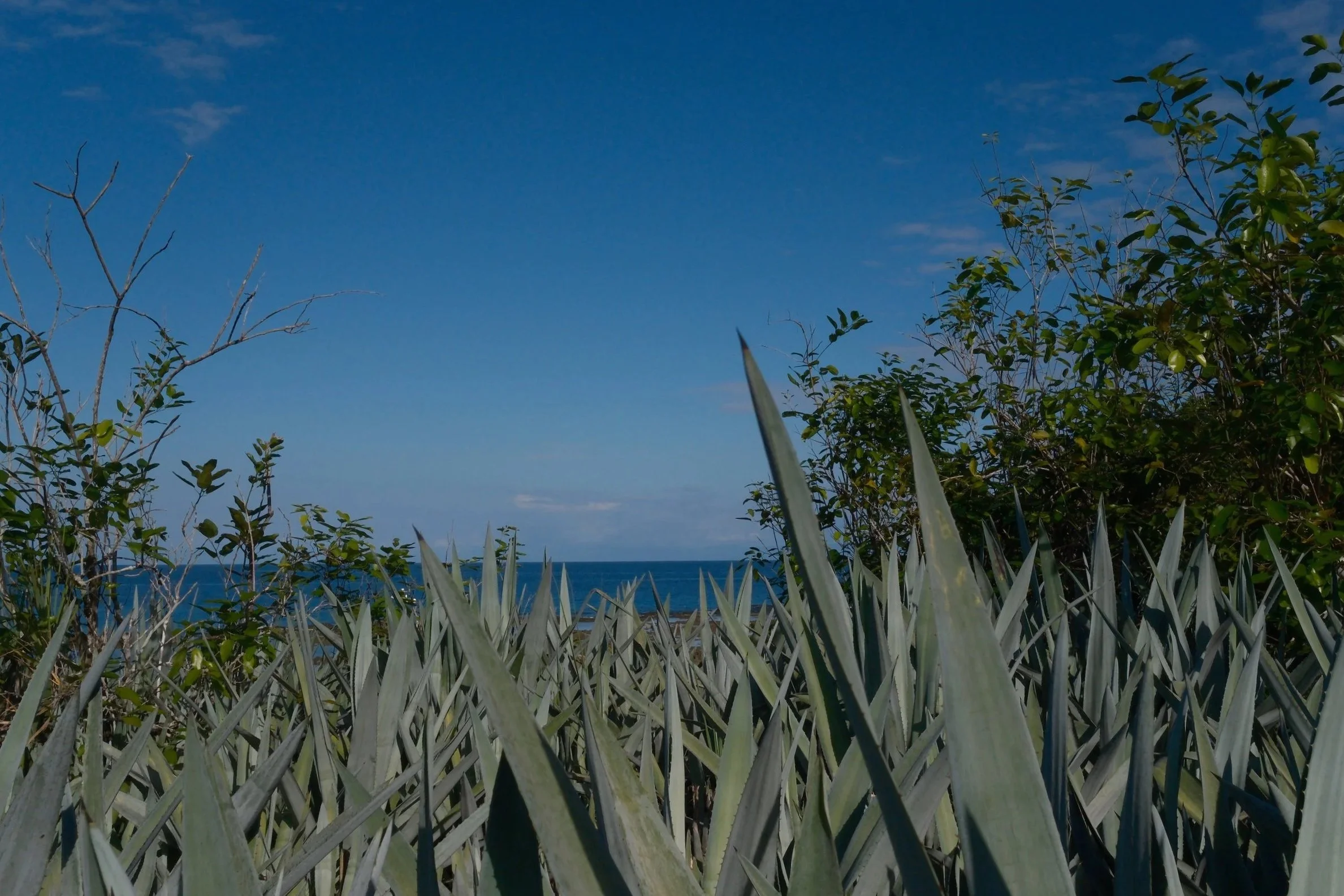 DSCF0834.jpg