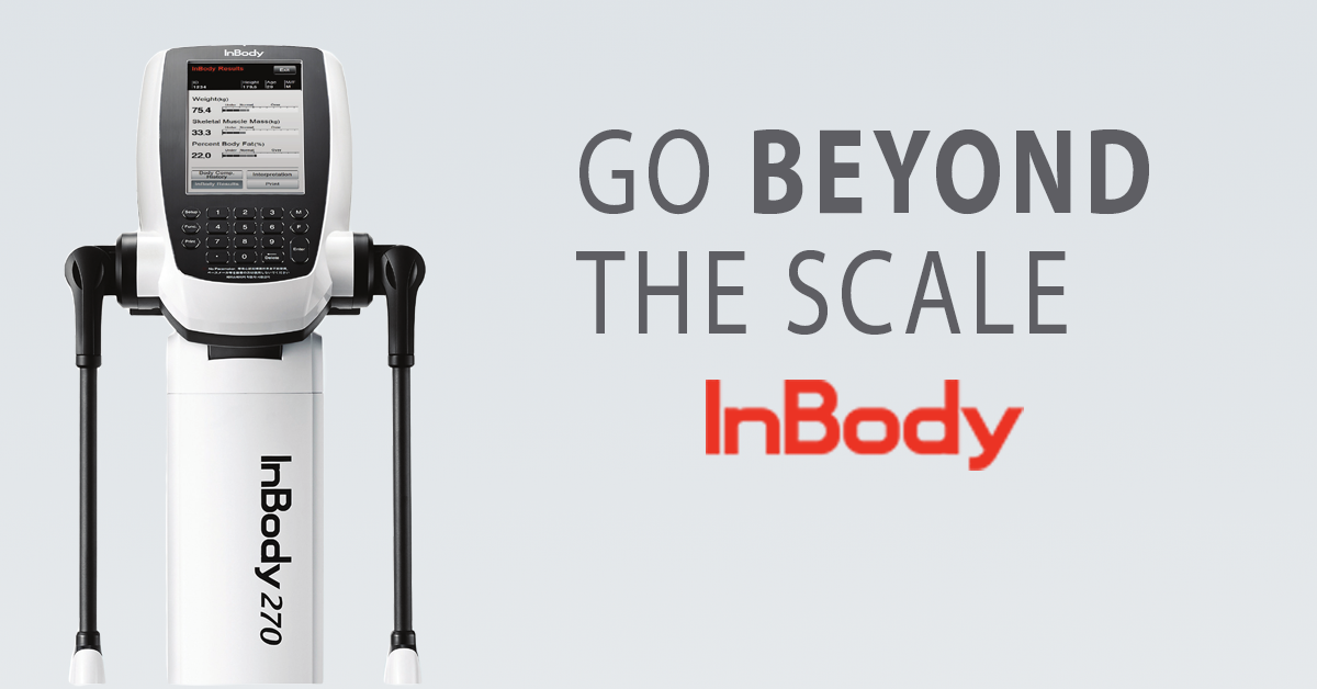 What an InBody Scan Actually Tells You (And Why It's More Useful Than the Scales)