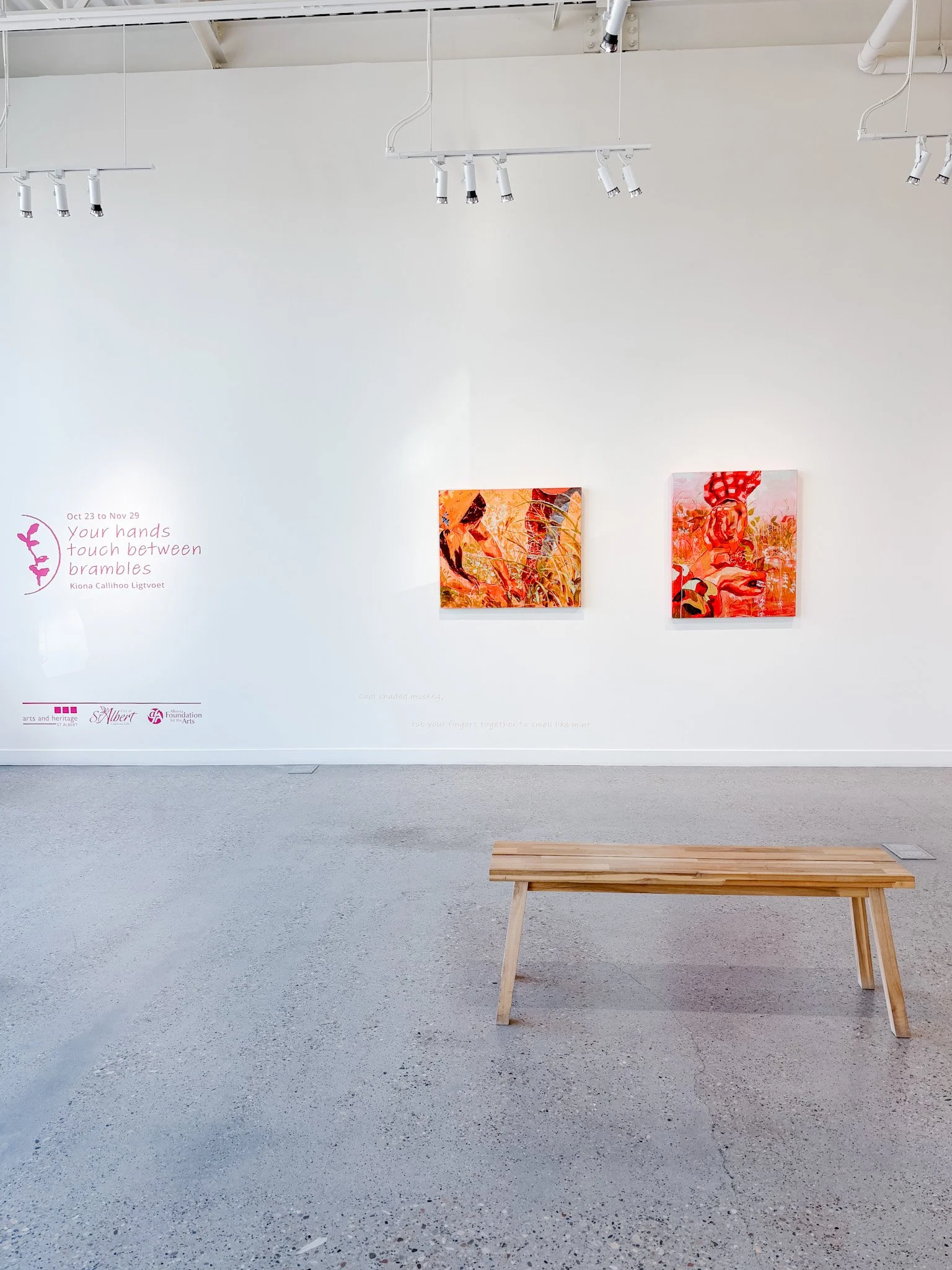 Your Hands Touch Between Brambles 4.JPG