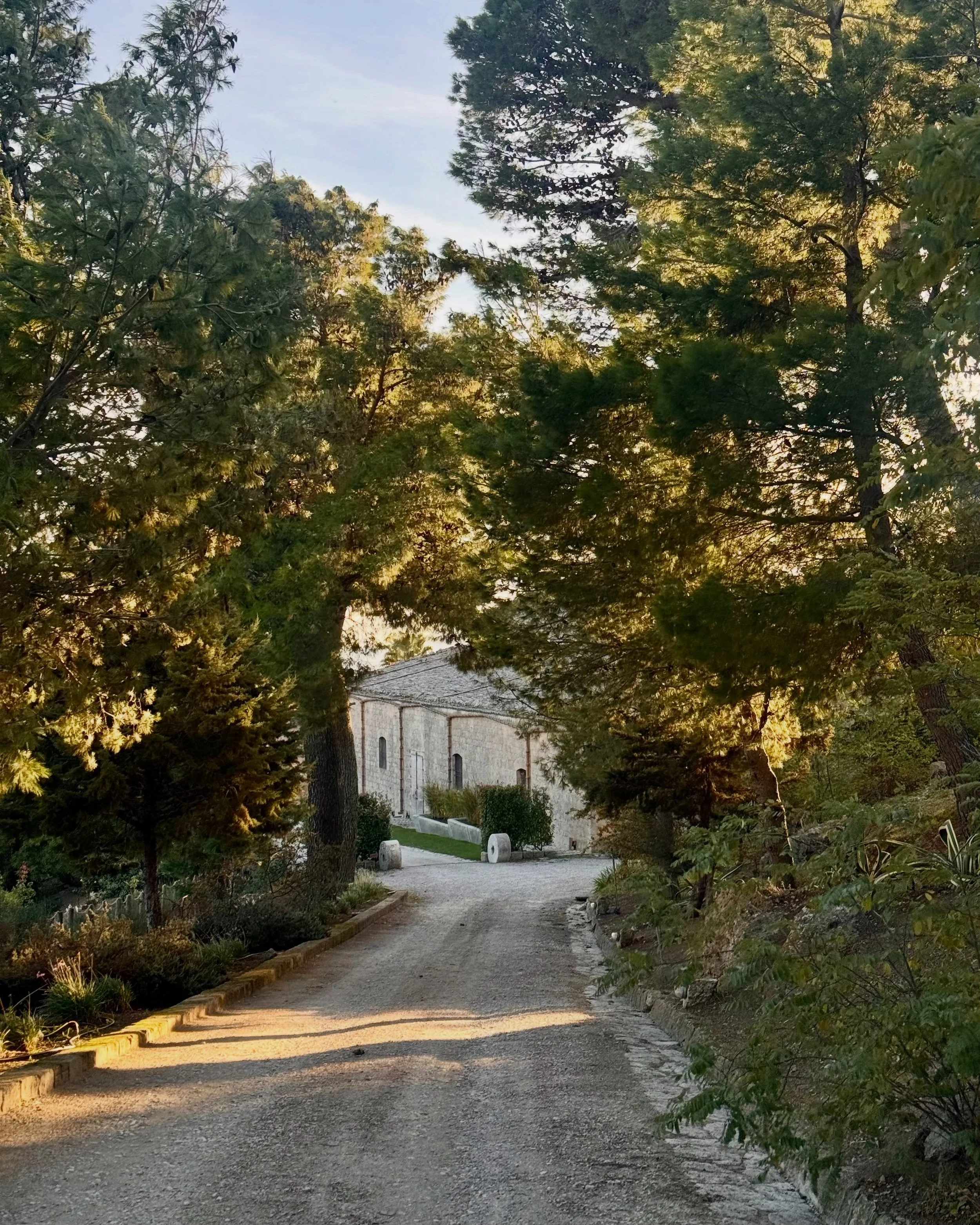 This time last year we had the pleasure of staying at Susafa in Sicily. 🍁

Tucked away in the remote countryside, surrounded by rolling hills and vast landscapes, Susafa is a restored farmhouse rooted in centuries of rural tradition. From homegrown 