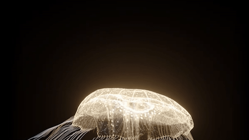Jellyfish One Blue Voice.gif