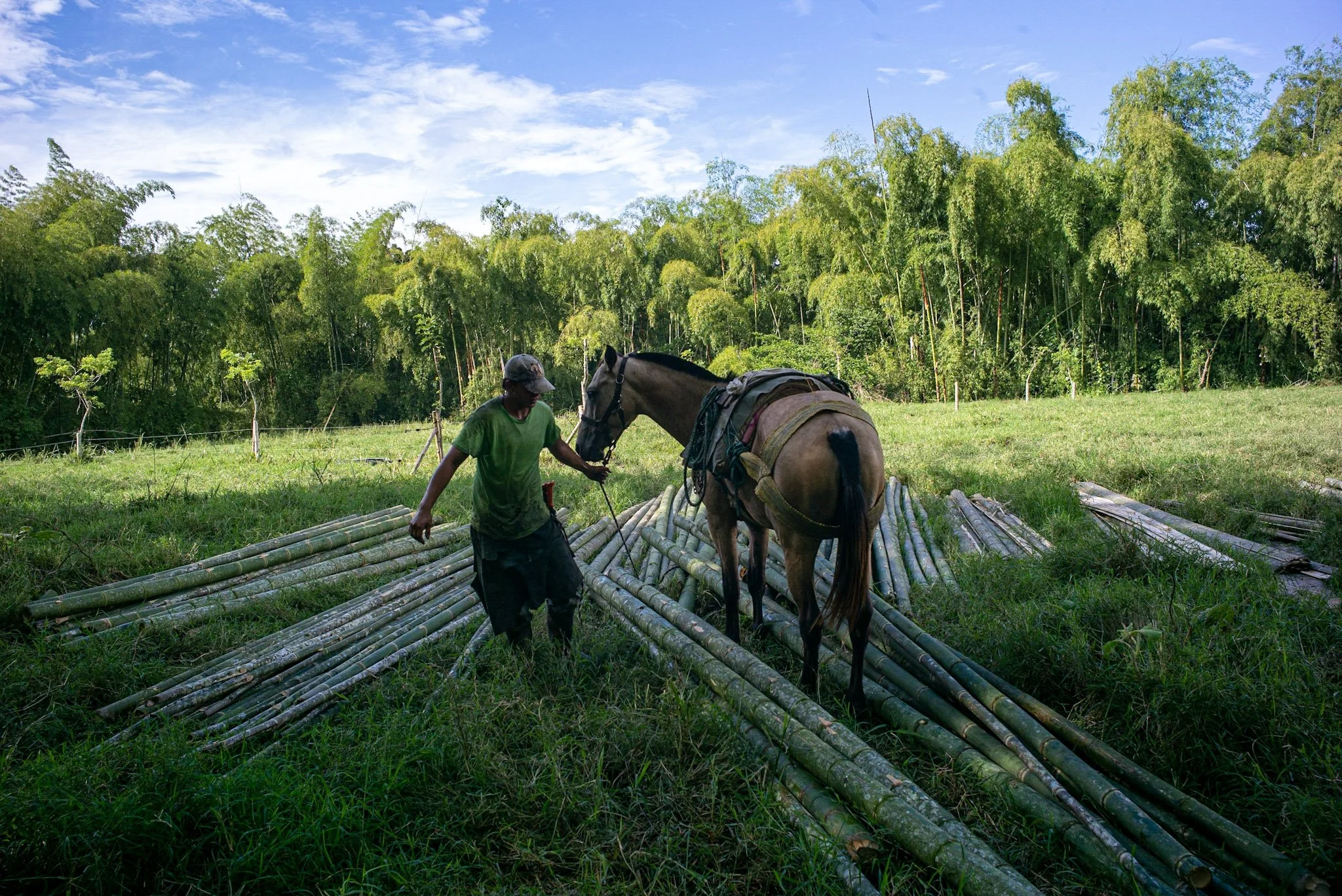 Bamboo harvesting in Colombia ©Jörg Gruber.jpg