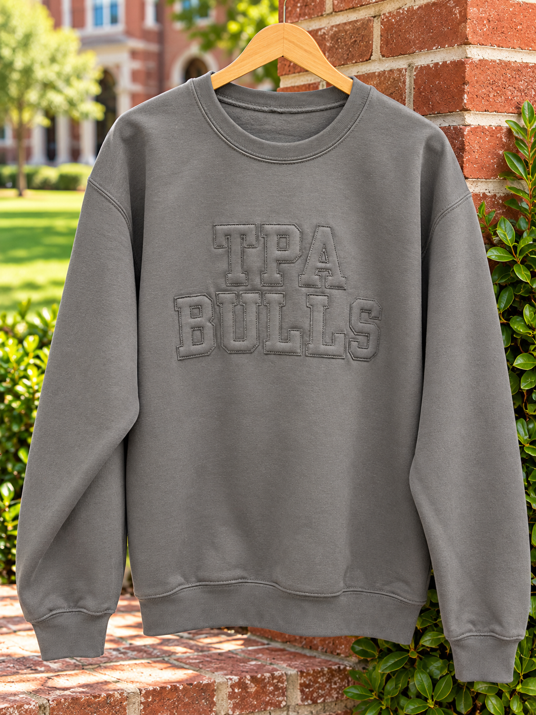 TPA Bulls Monochromatic Applique