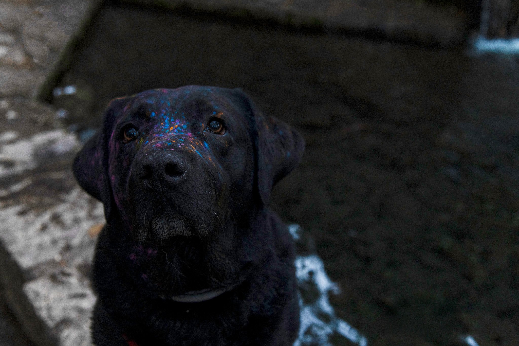 DSC_6719_0459-Editar copia.jpg