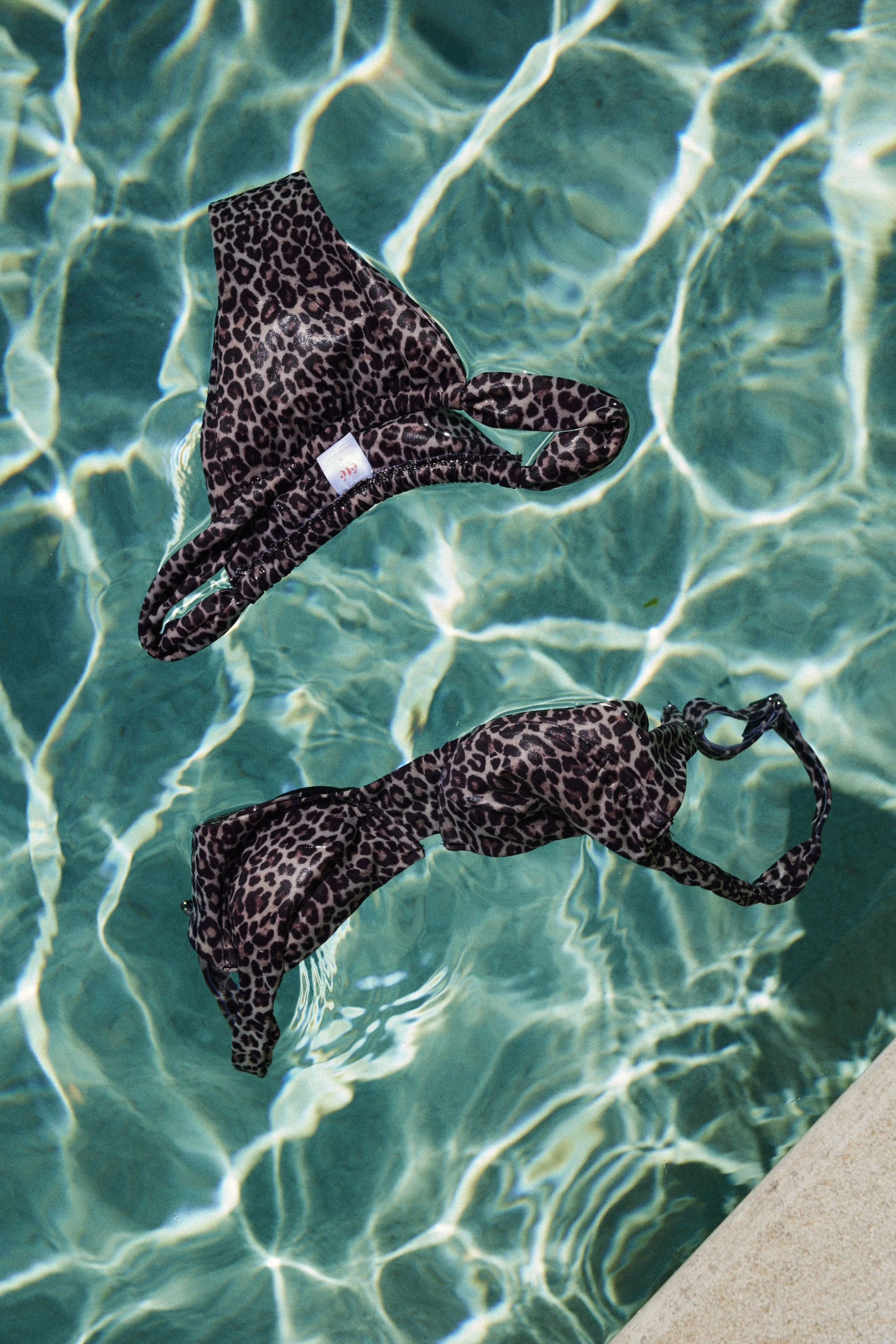 Leopard print bikini top floating in a swimming pool with sunlit water and pool edge visible.