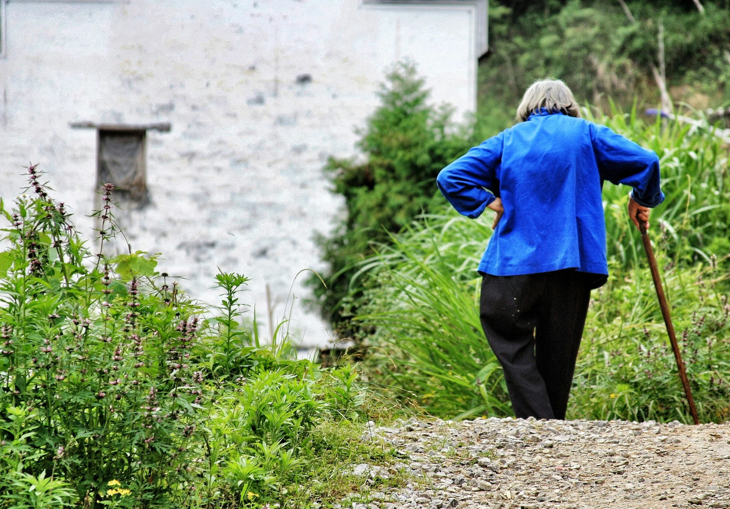 Blue Zones are disappearing and what that tells us about living longer