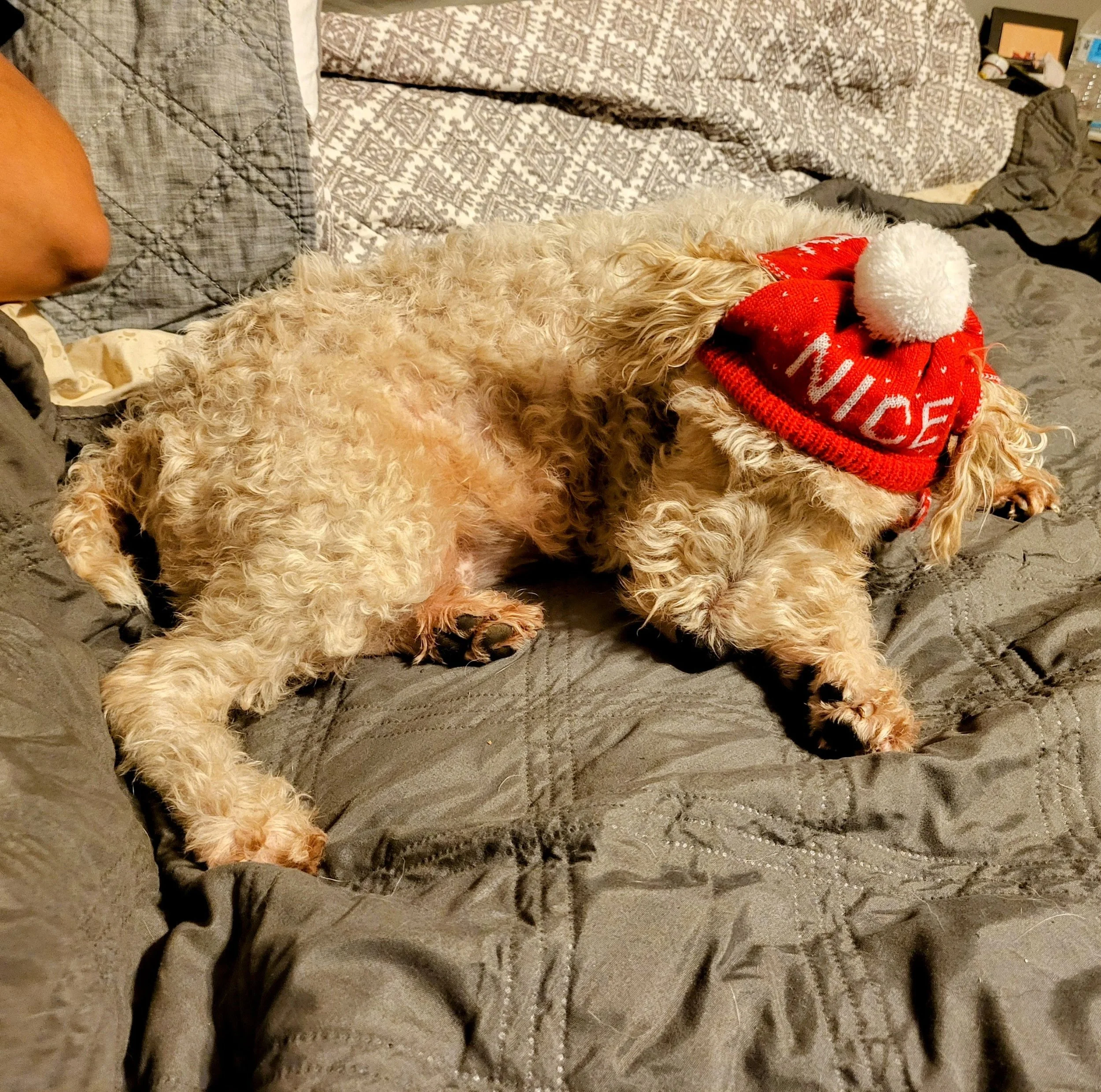 20221224_233757~2.jpg