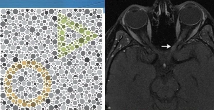 Image 5-6-25 at 1.52 PM.jpg