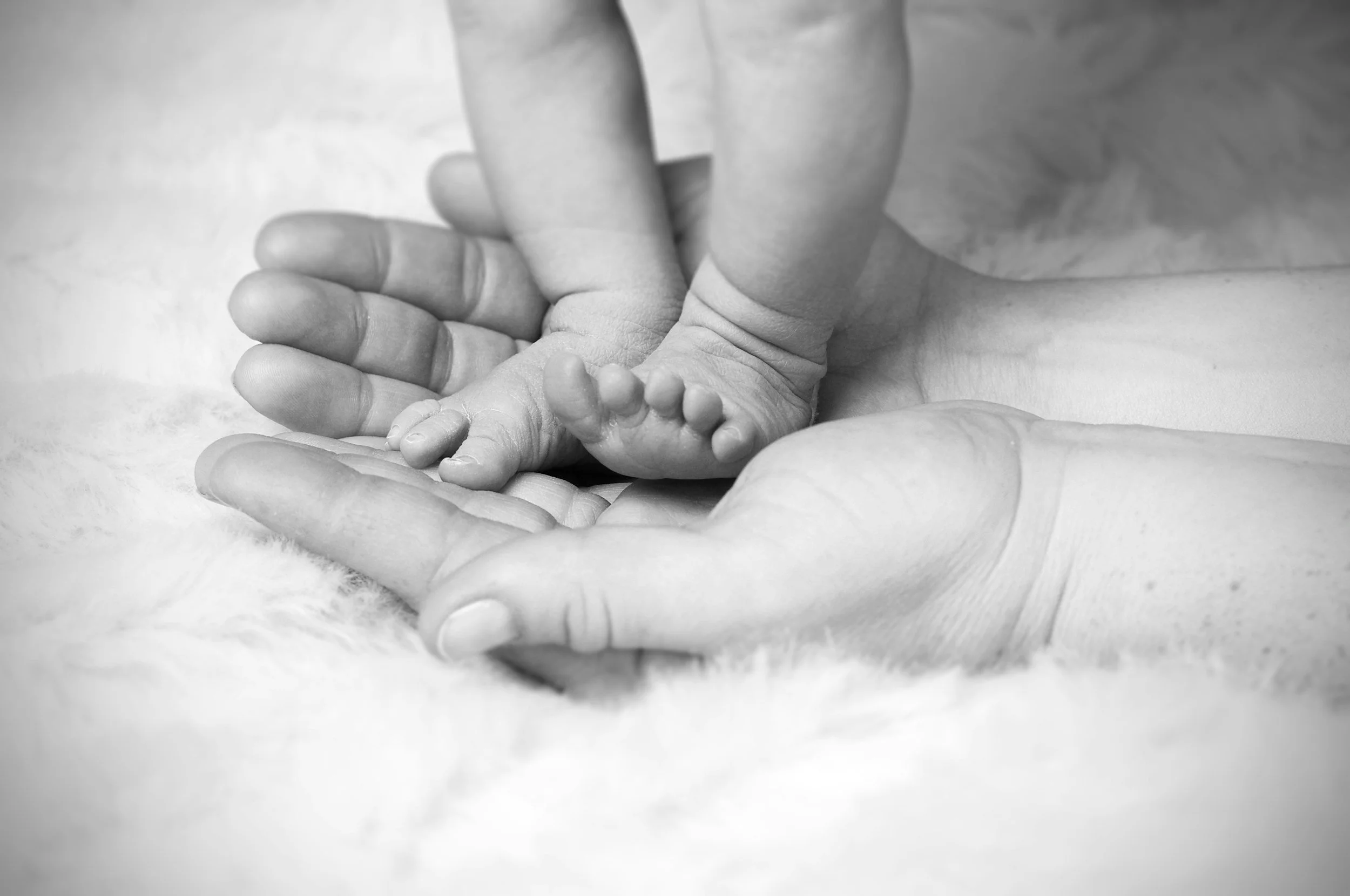 Black and white photo of an adult's hand holding the tiny hand of a baby.