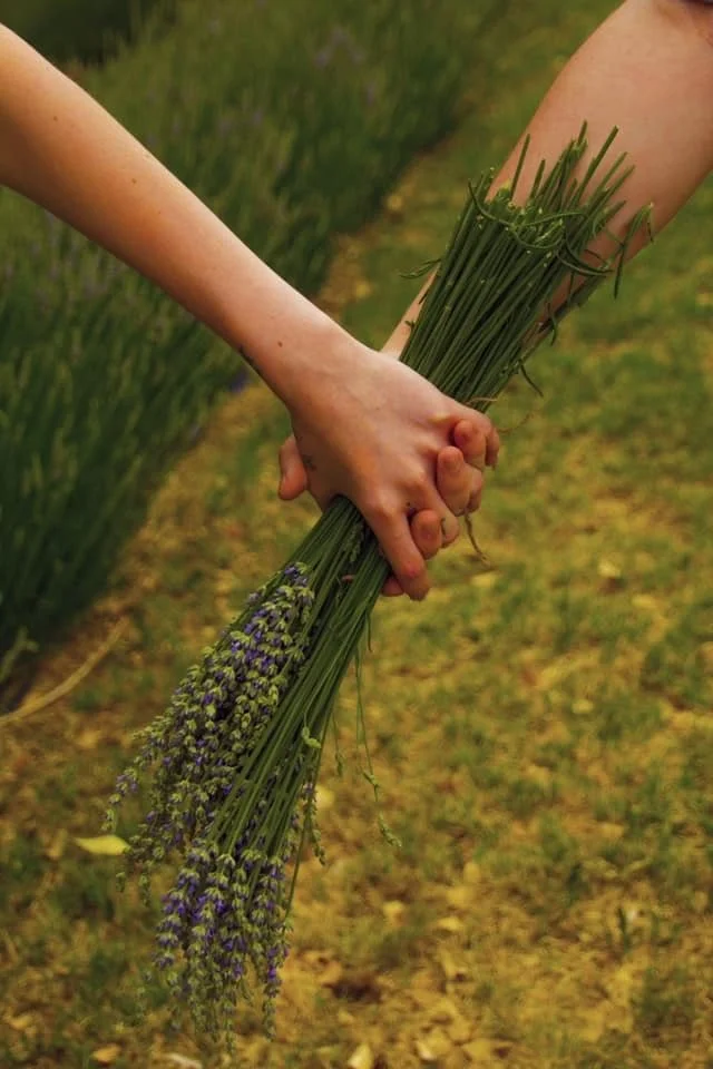 Image 51.jpeg