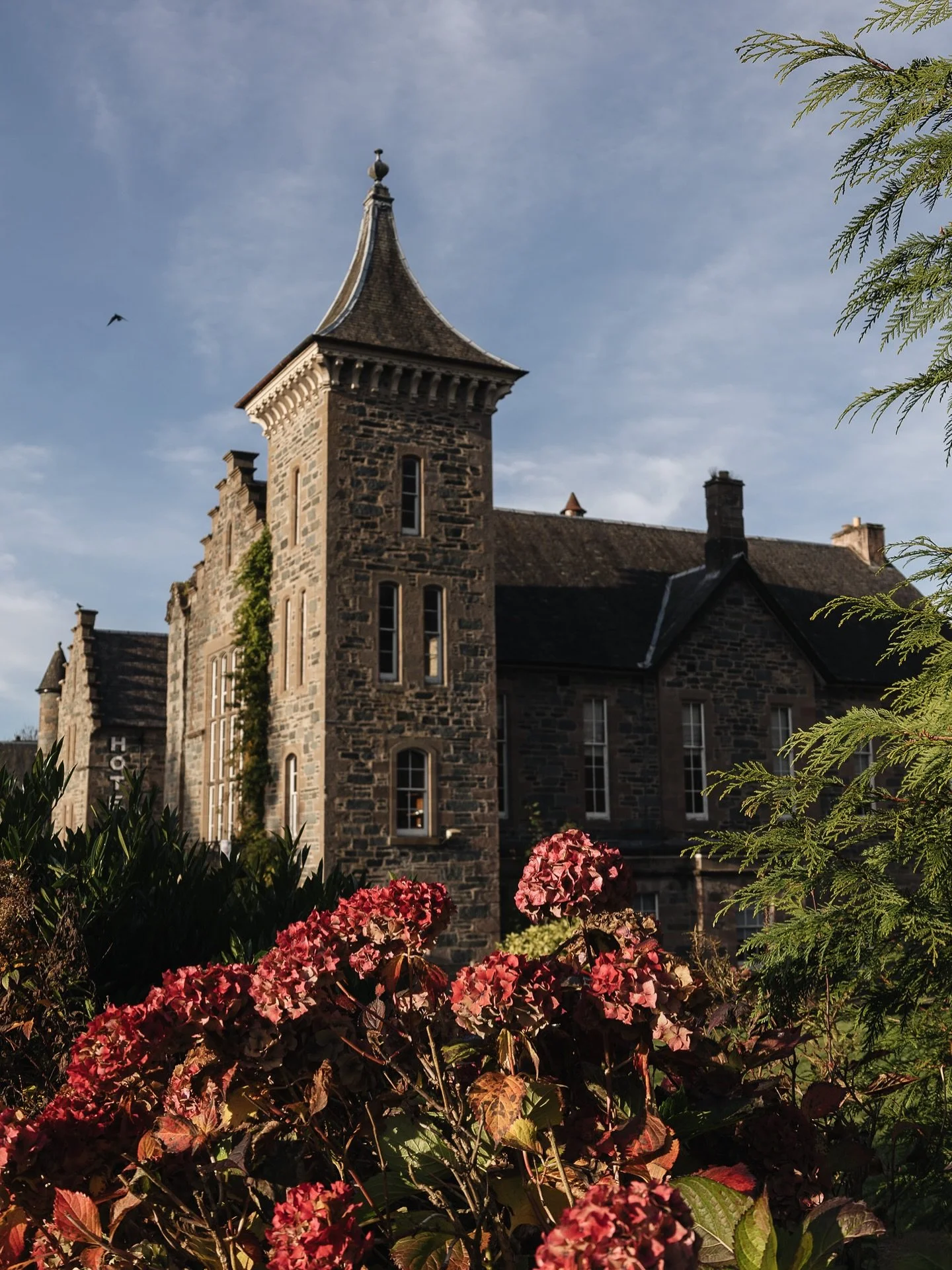 Autumn arrives in Birnam 

#thebirnamhotel #dunkeldandbirnam #hotelrestoration #renovation #autumn #birnamhotel #scotsbaronial