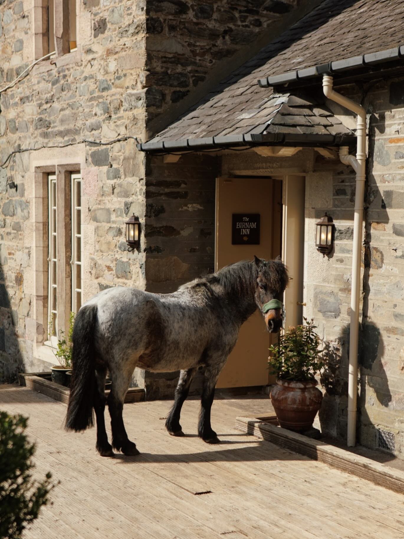 Waiting for the Inn to reopen.

#thebirnaminn #villagepub #dunkeldandbirnam #local