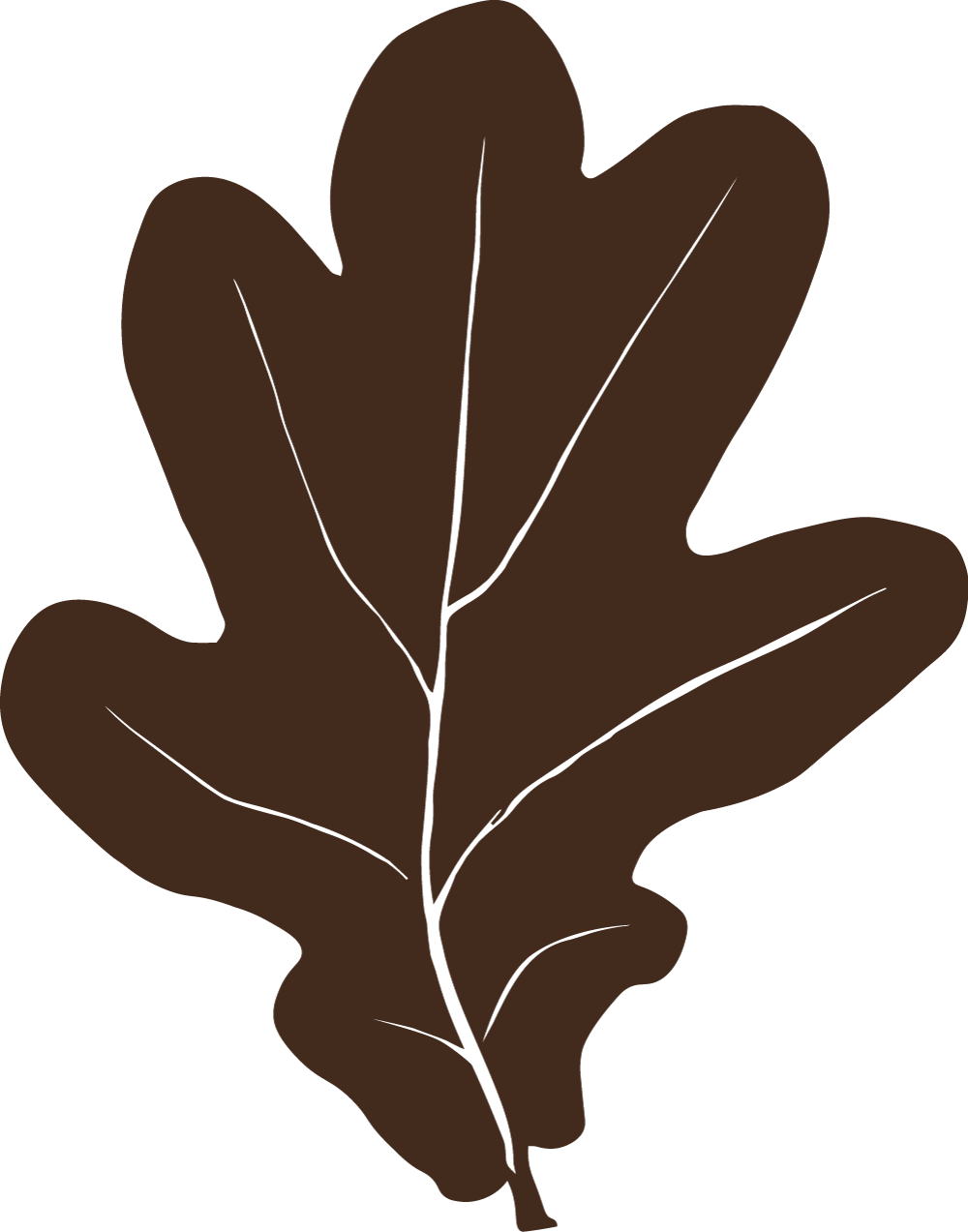 A brown oak leaf with pointed lobes and visible veins.