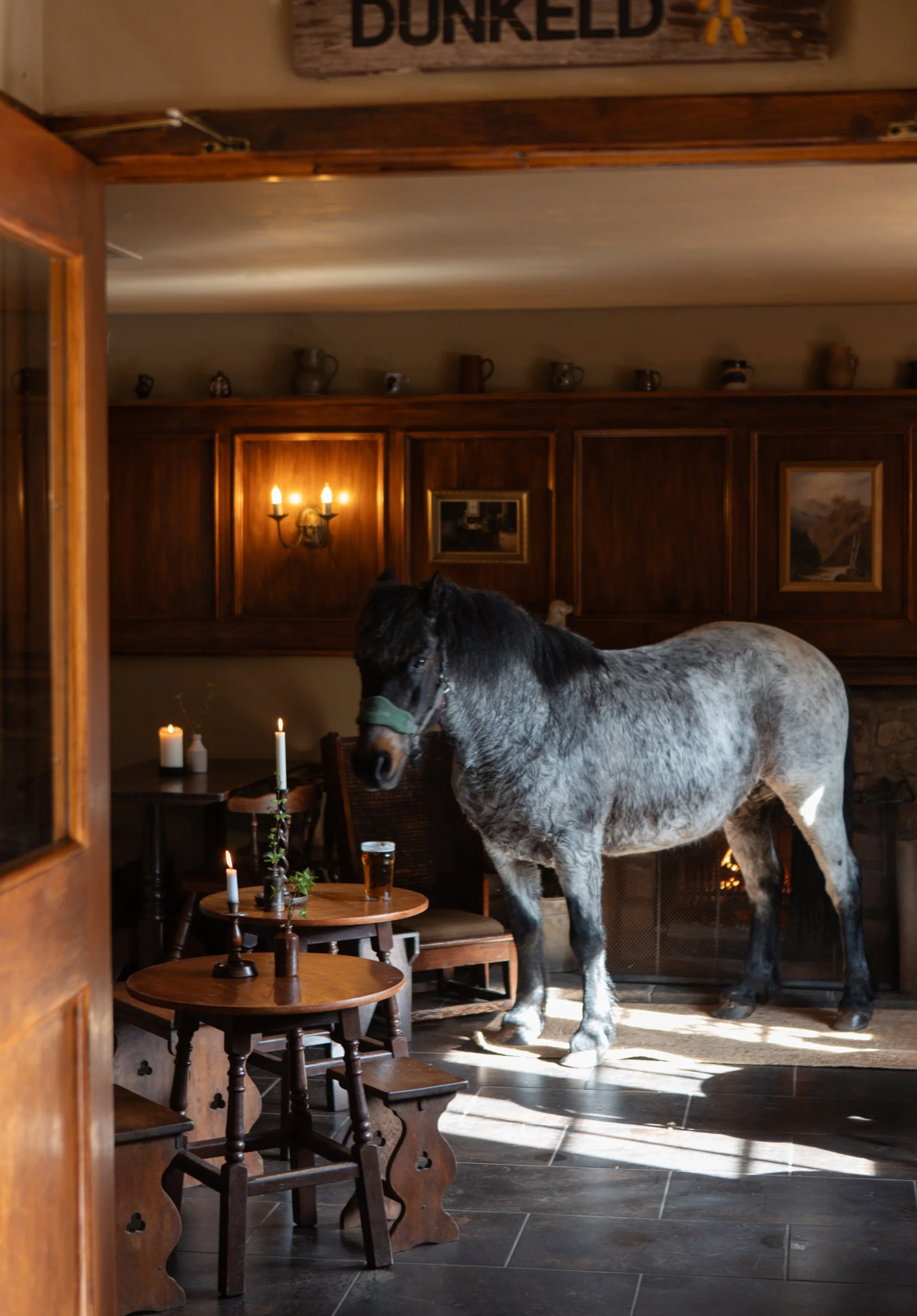 A room with wooden paneling, paintings, and a wall-mounted lamp. A gray and black horse with a green halter stands inside the room, partially obstructing a small round table with candles and a glass of beer. The room has candles on small tables and a "Dunkeld" sign with an Irish flag at the top.