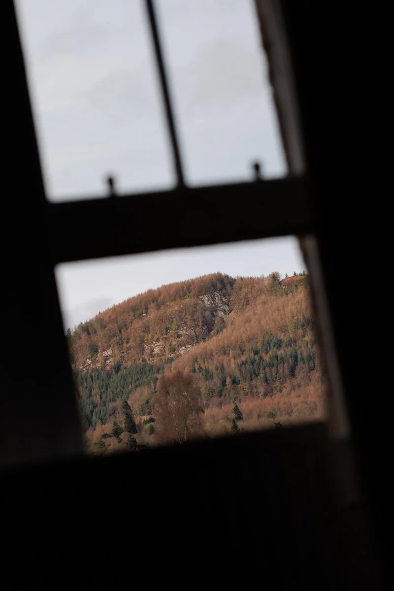 View of a hillside with trees seen through a window.