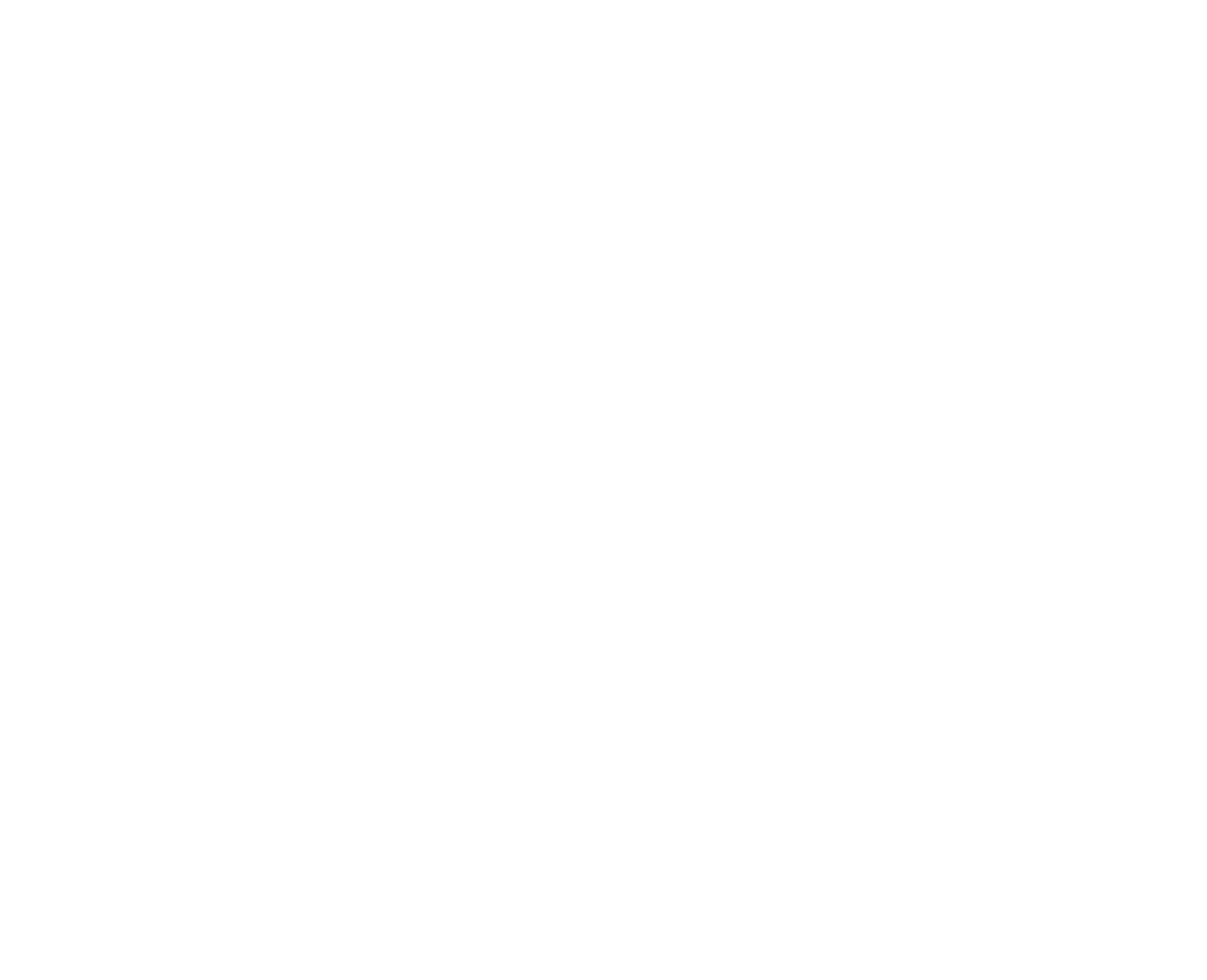 Turmetic logo.png