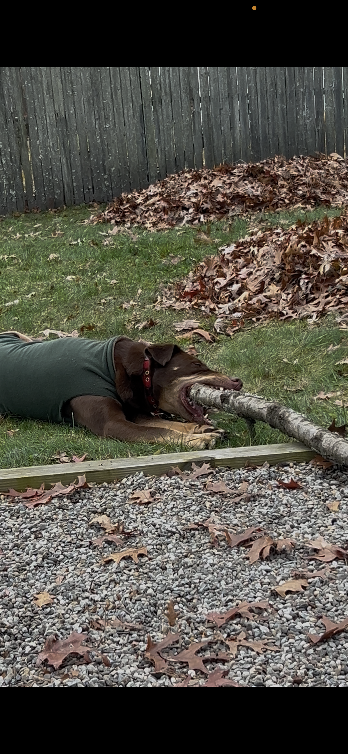 Understanding Behavior: A Systems-Based Approach to Observation and Intervention