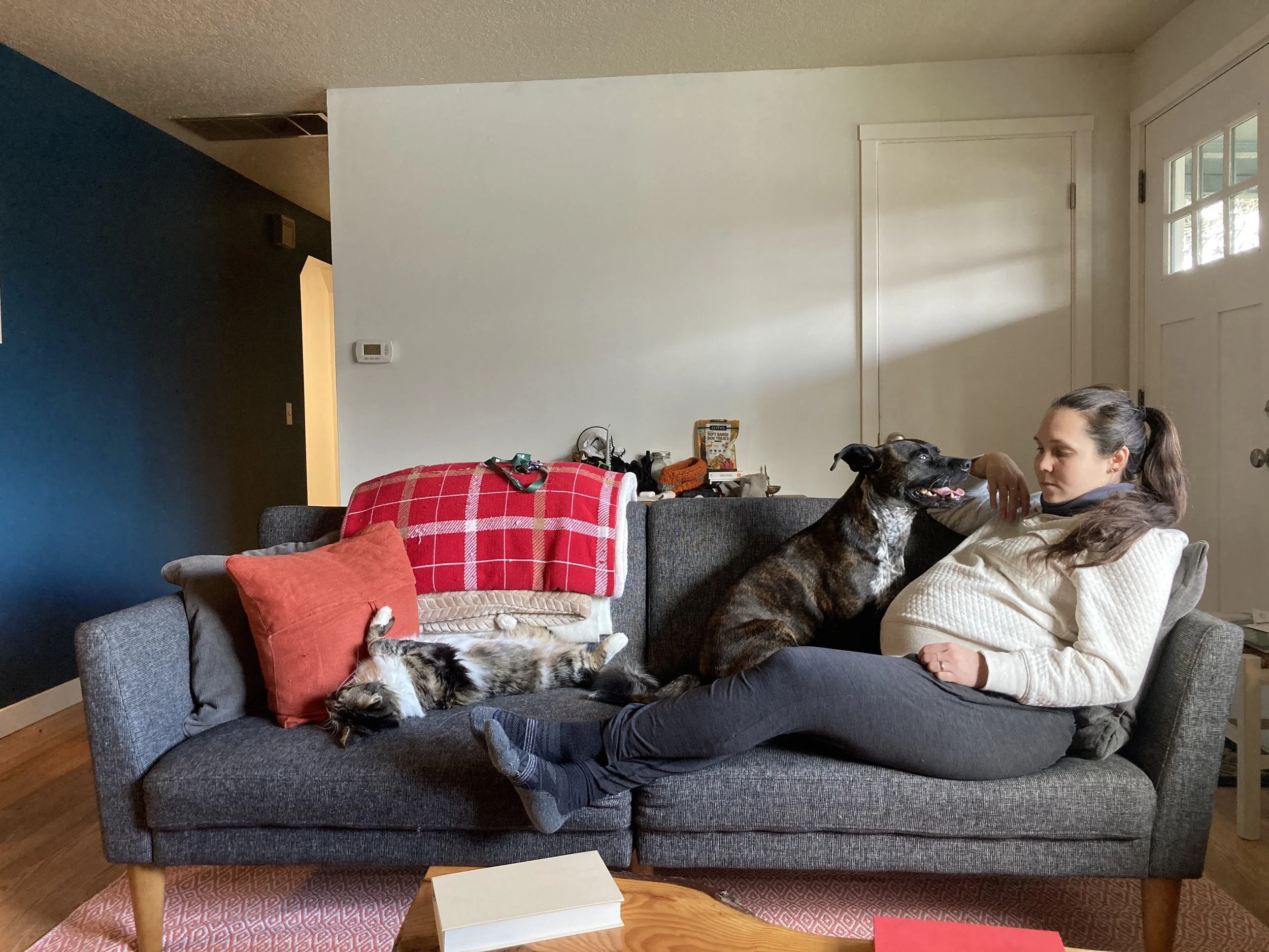 Planning for a Home With a Baby: What Helps When You Already Share Life With a Dog