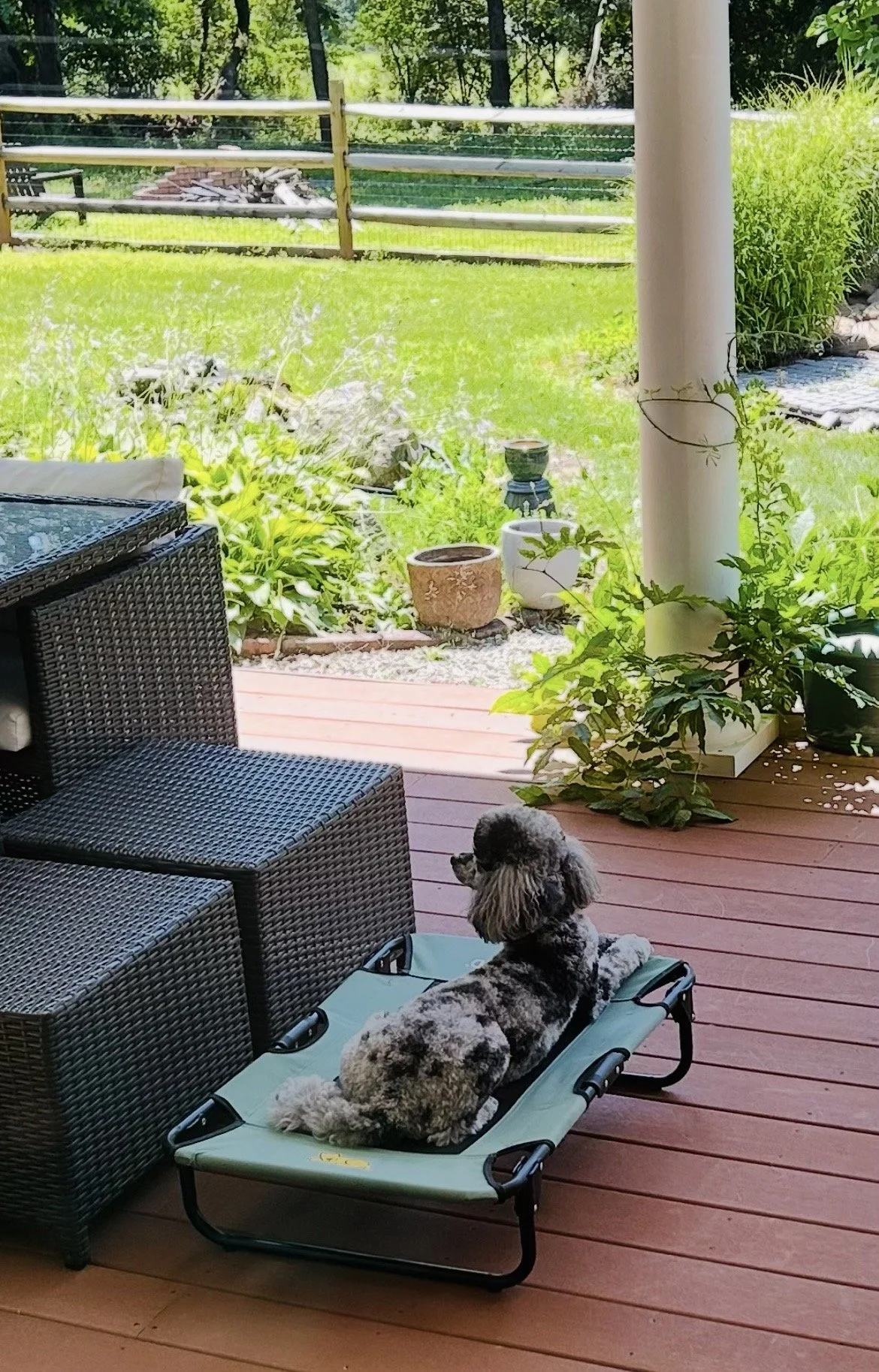 The Relationship Layer of Generalization: How Support Shapes Learning Under Uncertainty