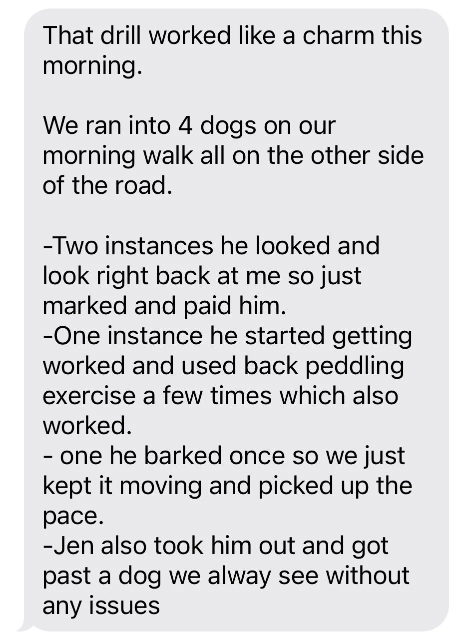 Text describing a walk where four dogs were encountered, and the owner got their dog past another without issues.