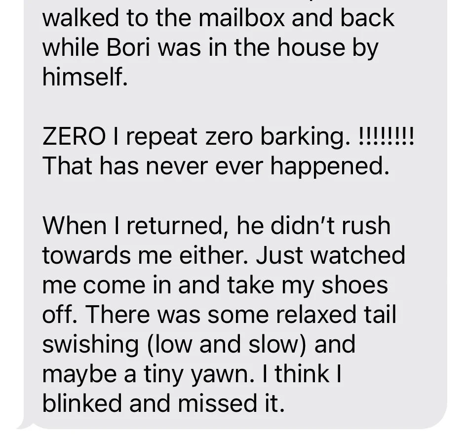 Client expression of her work on separation anxiety with her dog