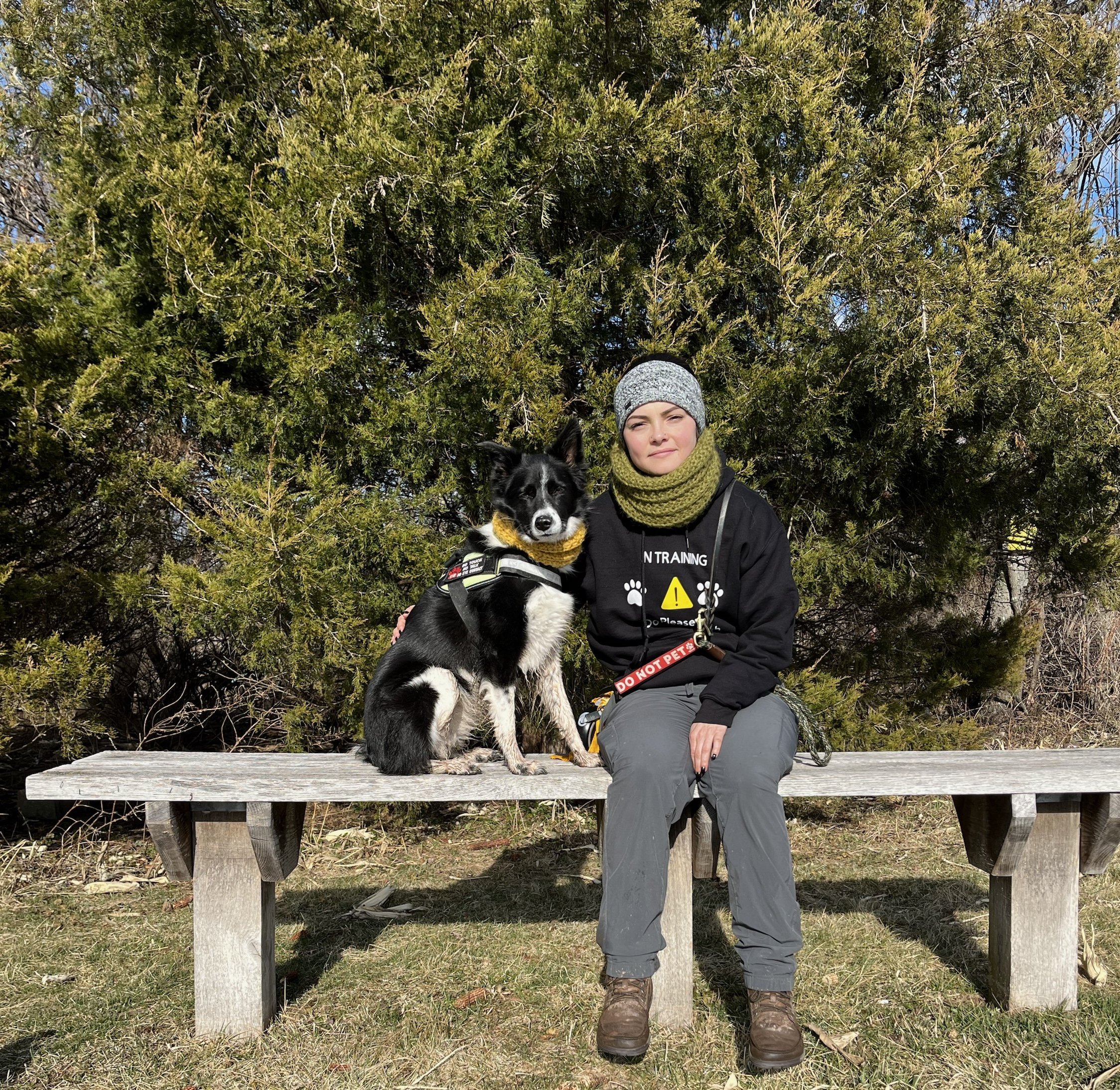 A woman and her border collie displaying attire that shows they are in a training session and are requesting space 