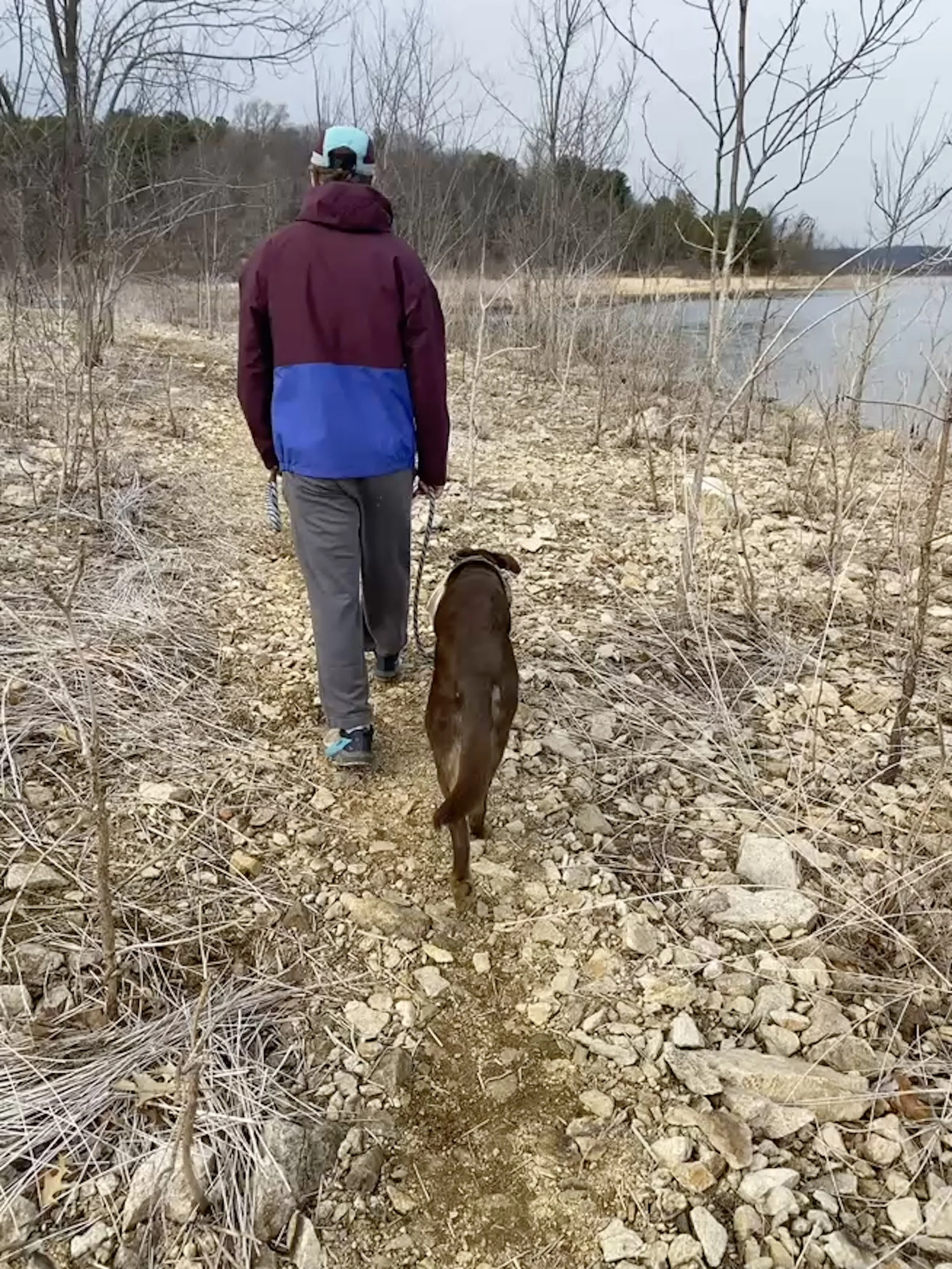 A person walking a dog on leash calmly on a rocky hike 