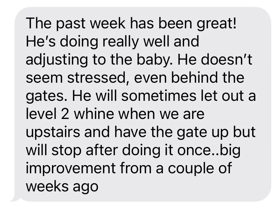 Client expresses their work with getting their dog more accustomed to routines with the new baby in the home