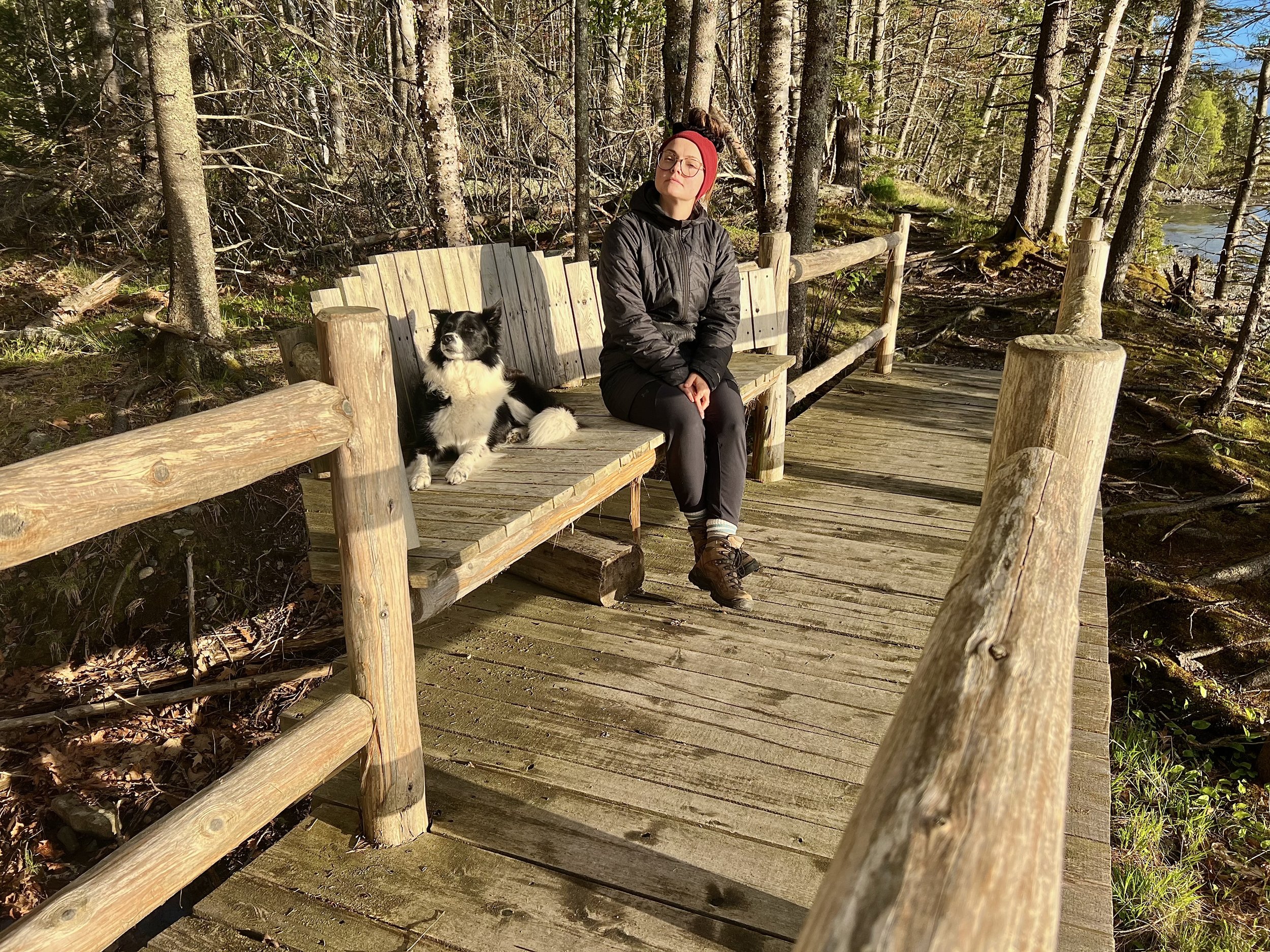 Outside of Acadia National Park, Maine 