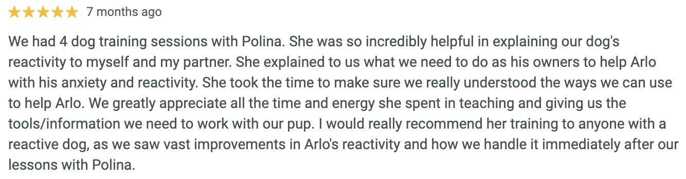Screenshot of a 5-star review describing a positive experience with dog training sessions with Polina, highlighting her helpfulness, instructions, and improvements in the client's reactive dog.