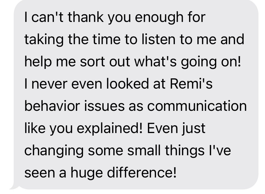 A screenshot of a text message conversation expressing gratitude for listening and helping to understand Remi's behavior issues, noting small changes making a big difference.