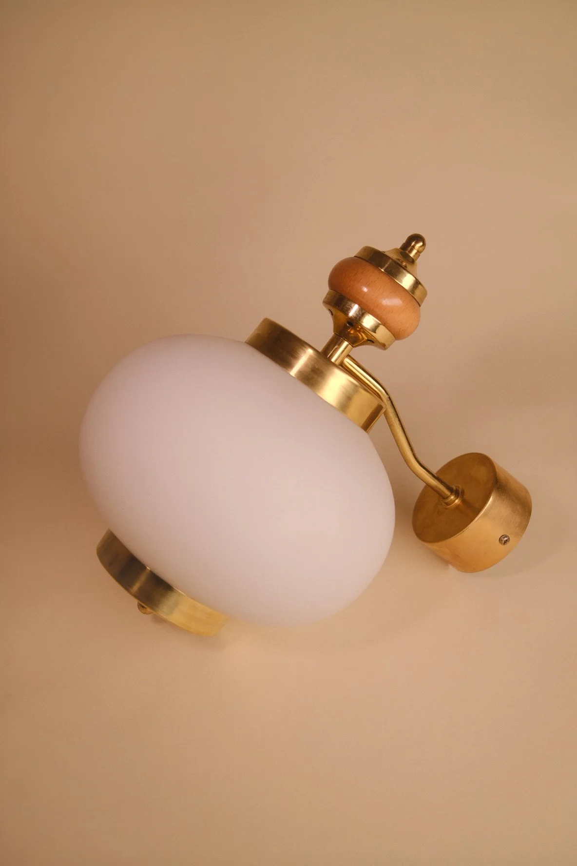 Wall Light with Brass and Wood Base and Frosted Opal White Globe
