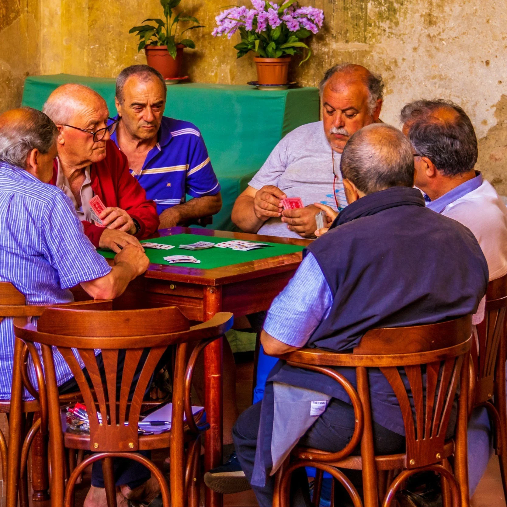 Torneo di briscola